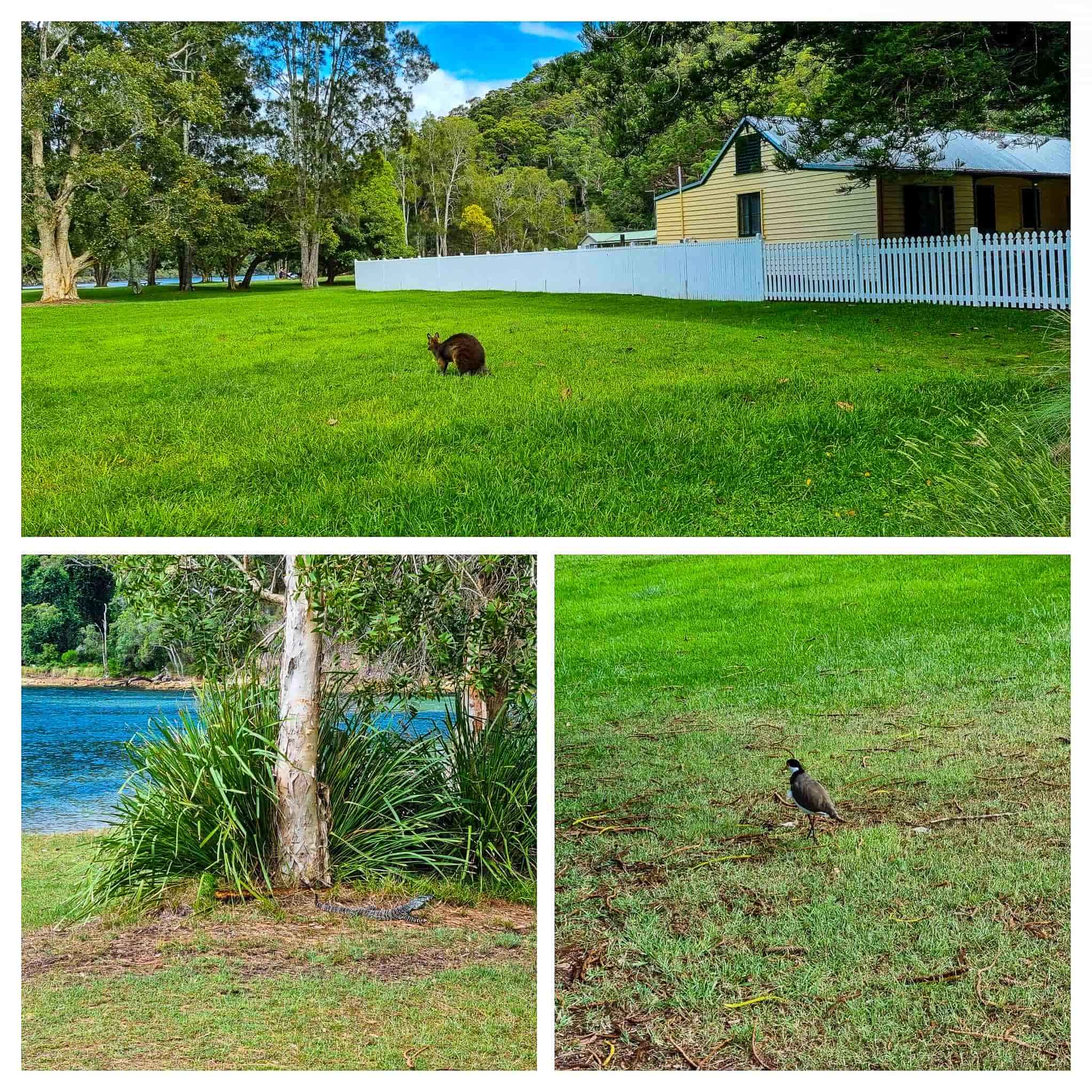 The Basin Campground - Wildlife Spotting