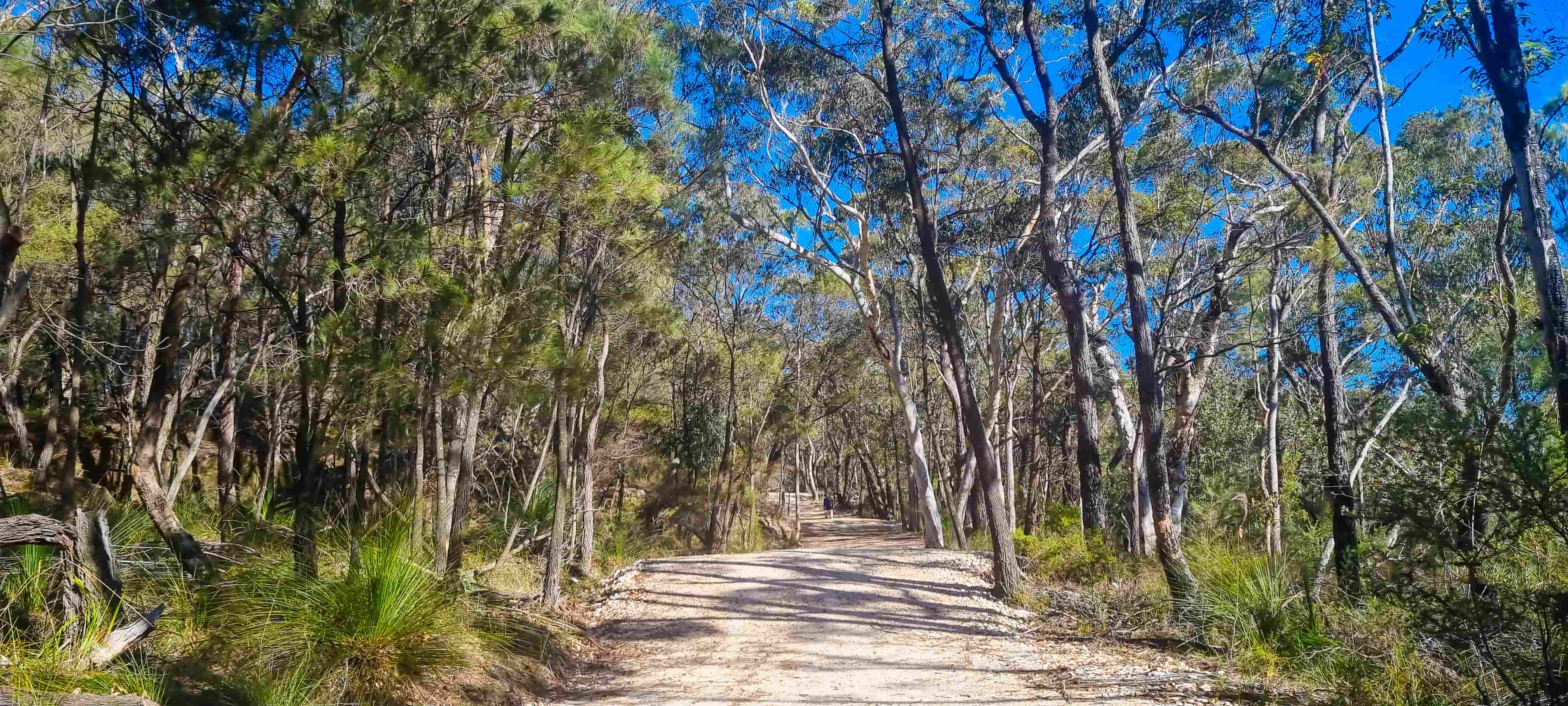 Bobbin Head to Sphinx Memorial Walking Trail