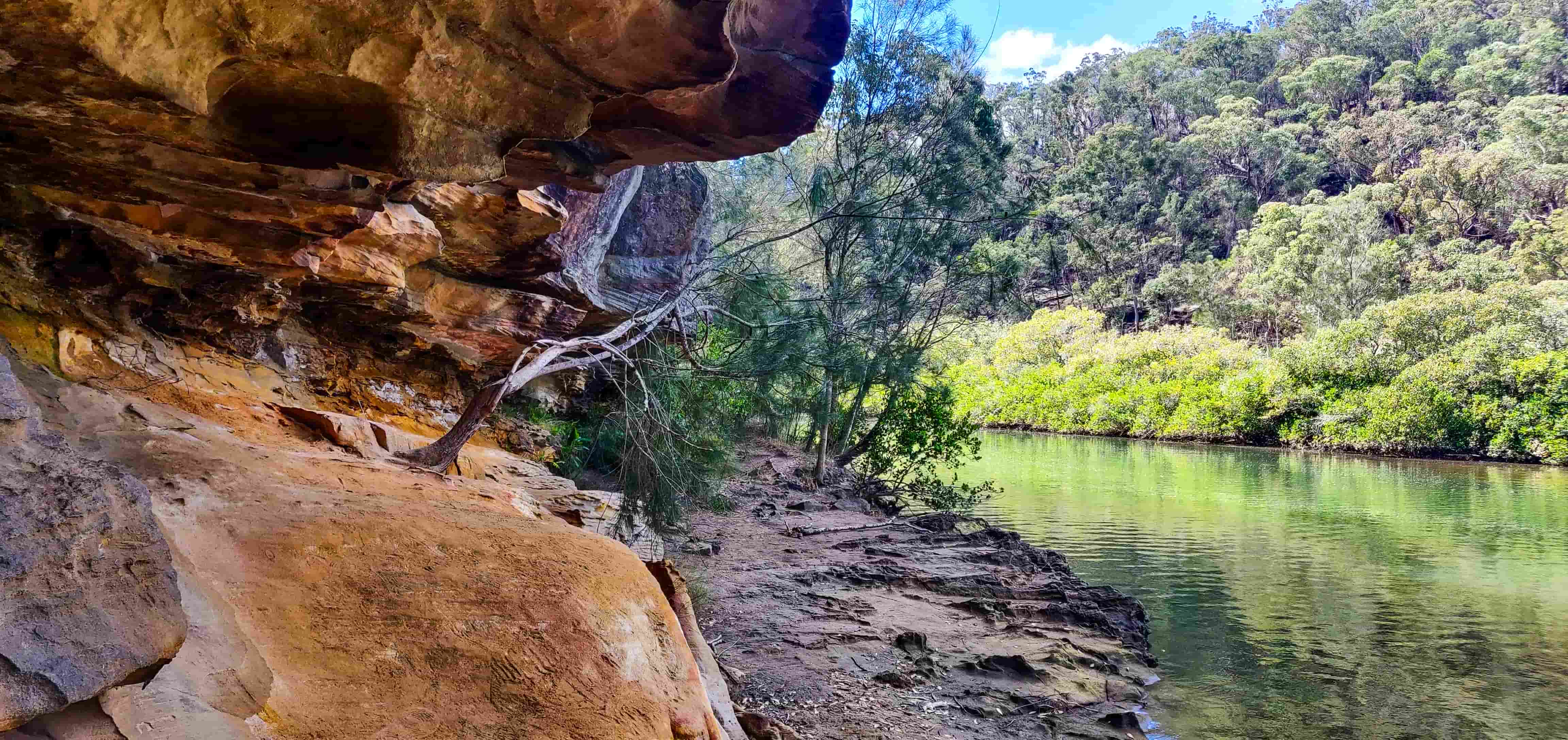 Picnic Spot in Sphinx Memorial to Bobbin Head Walk