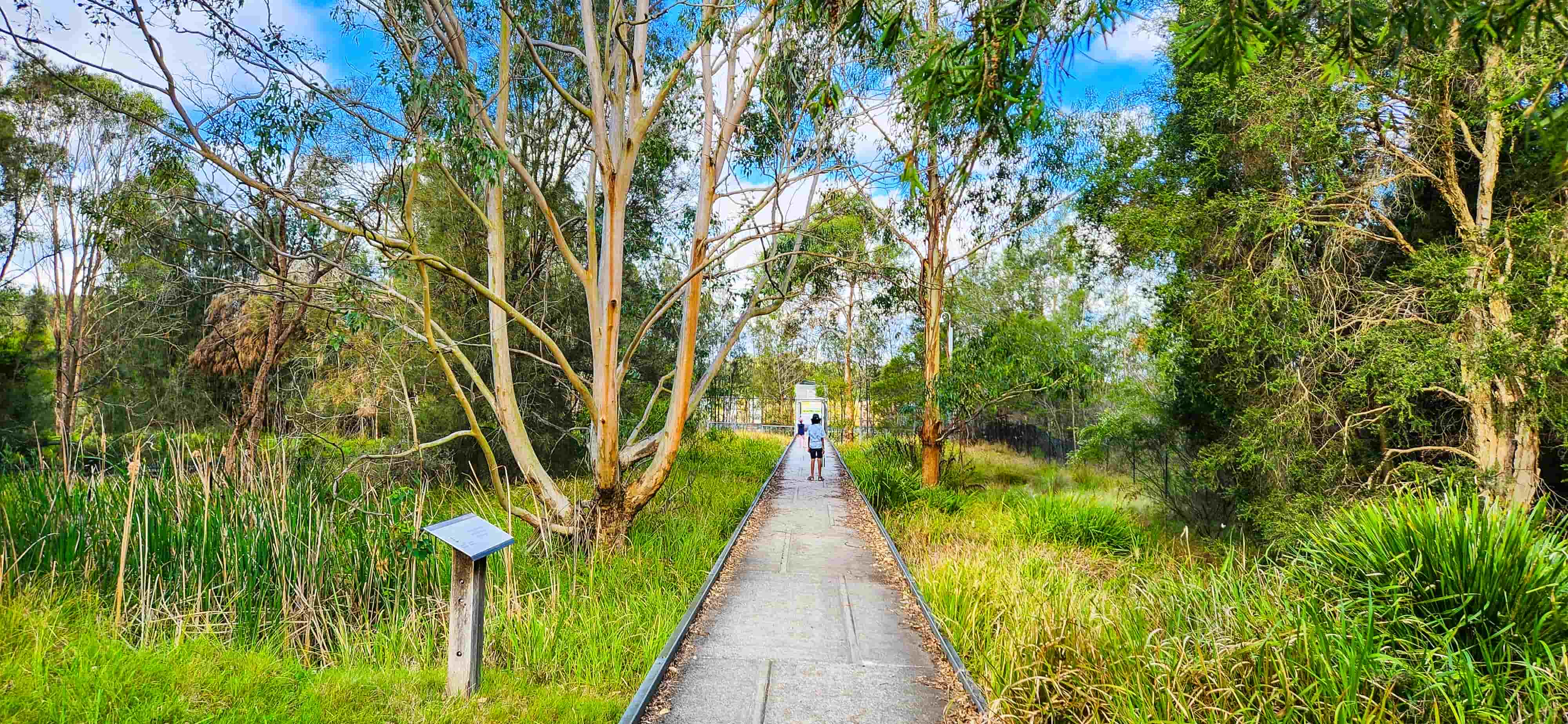 Bushwalk @Brickpit Ring Walk