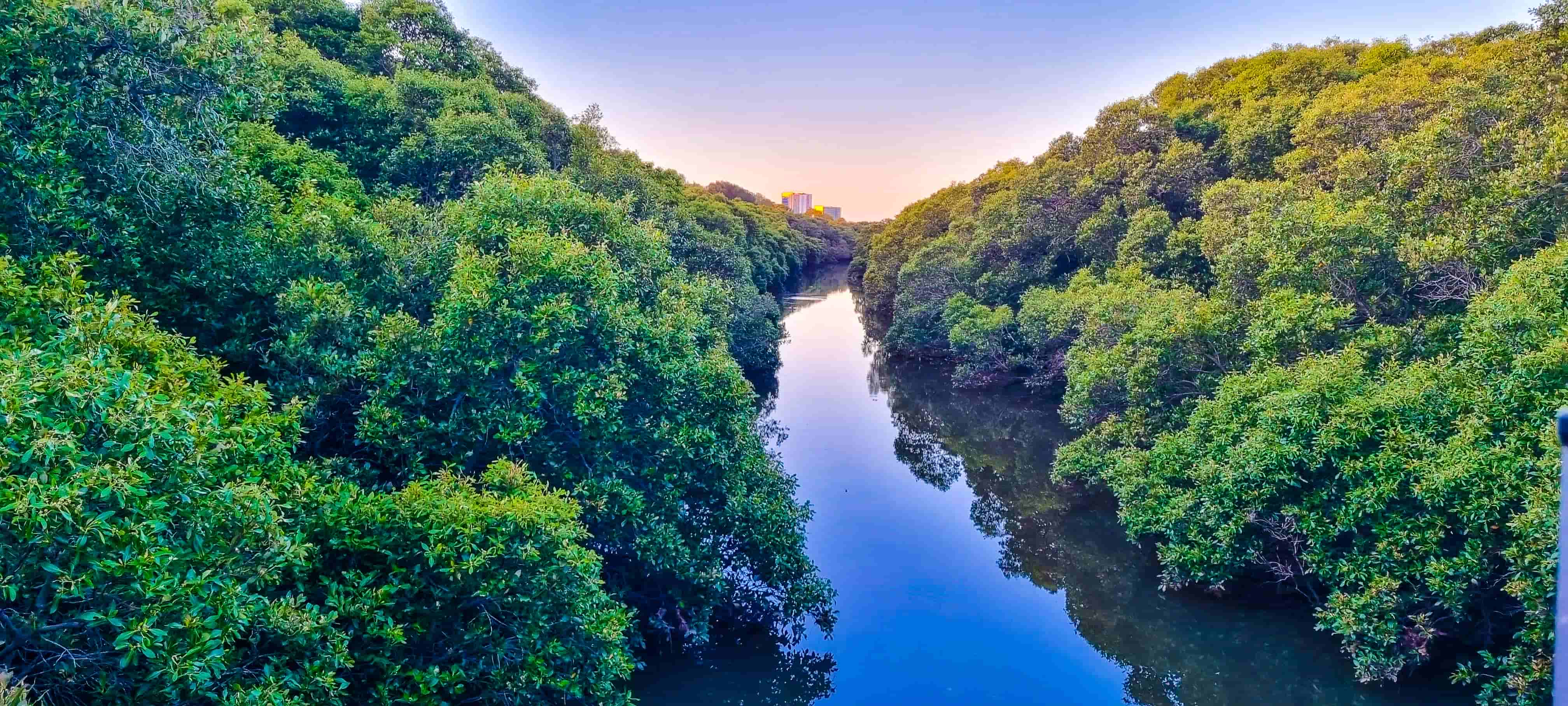 Bicentennial Park in Sydney Olympic Park