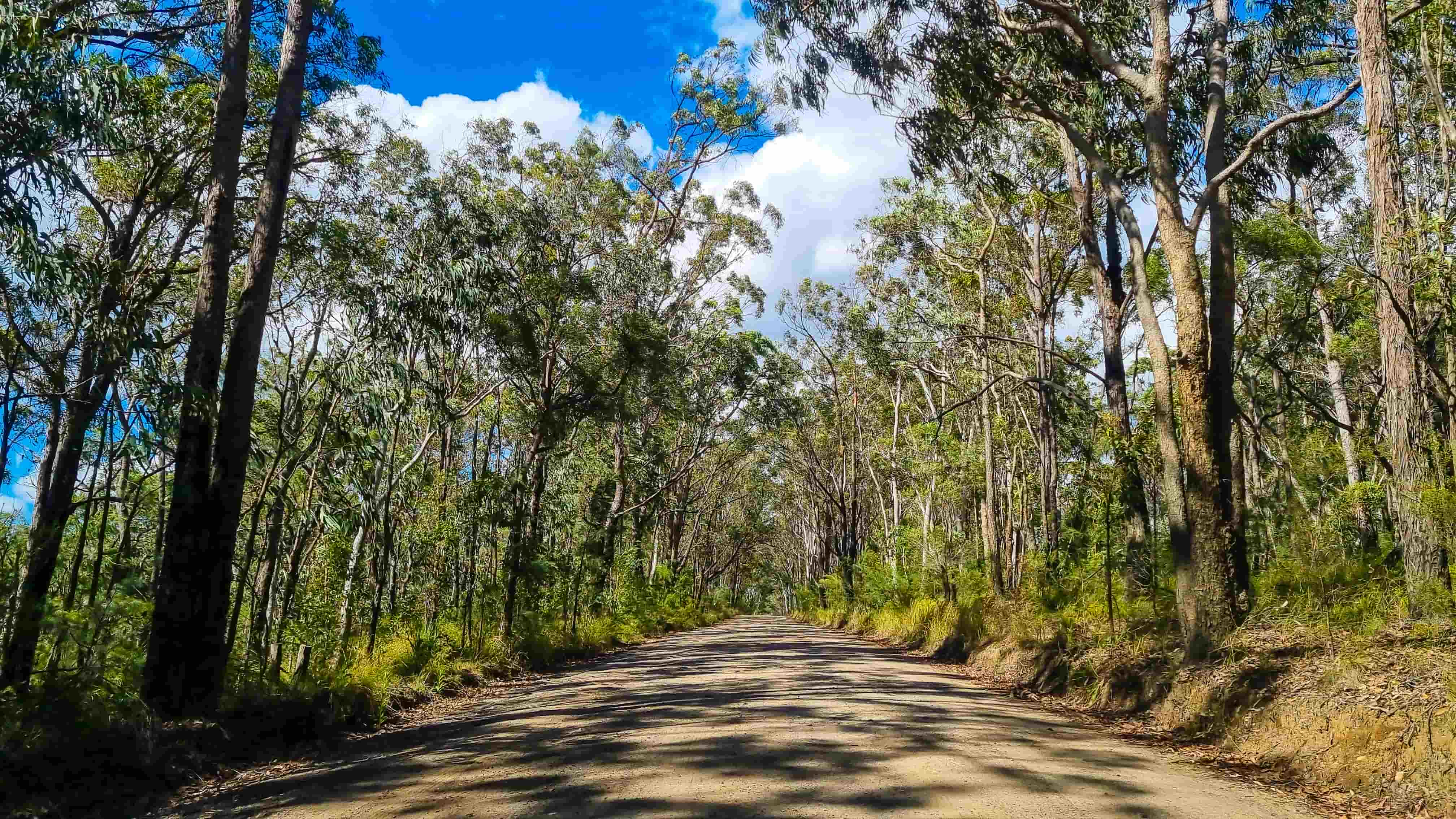 Gravel Road to the Rock Lookout