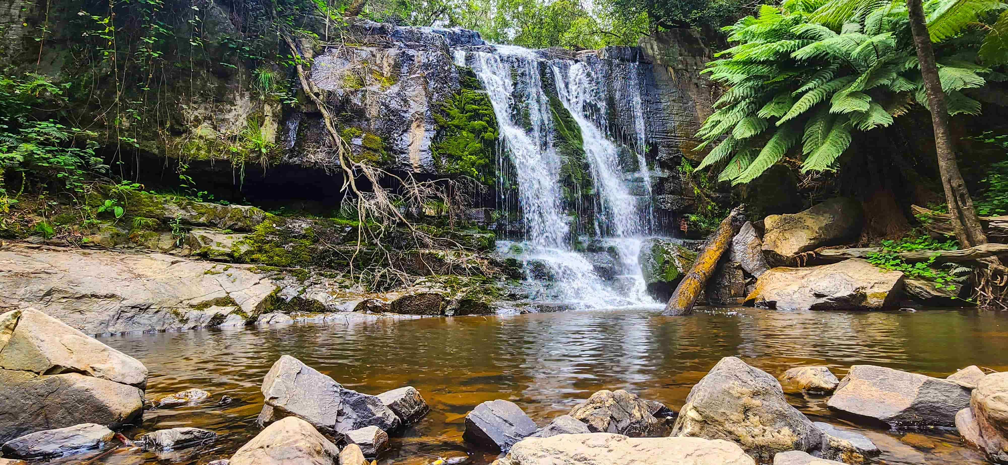 Lilydale Falls