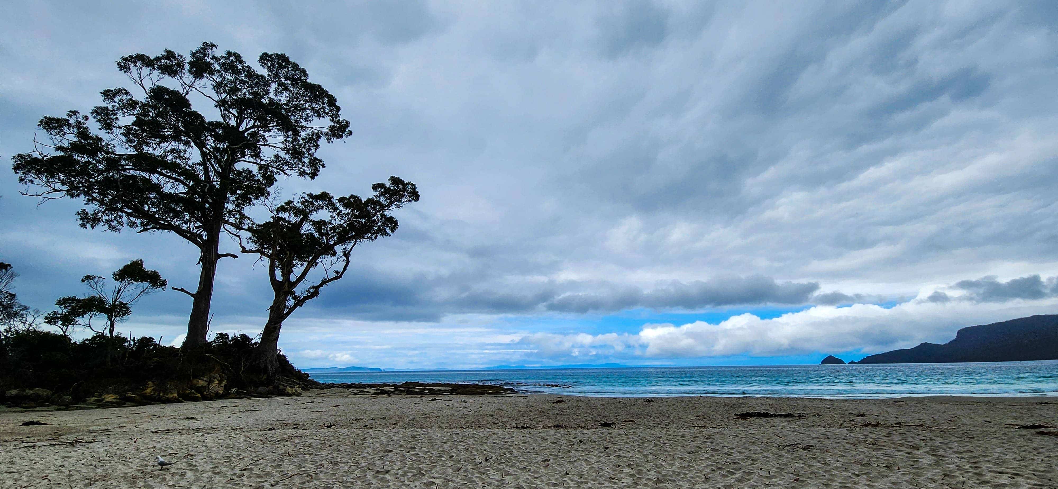 Two Tree Point and Resolution Creek in Adventure Bay