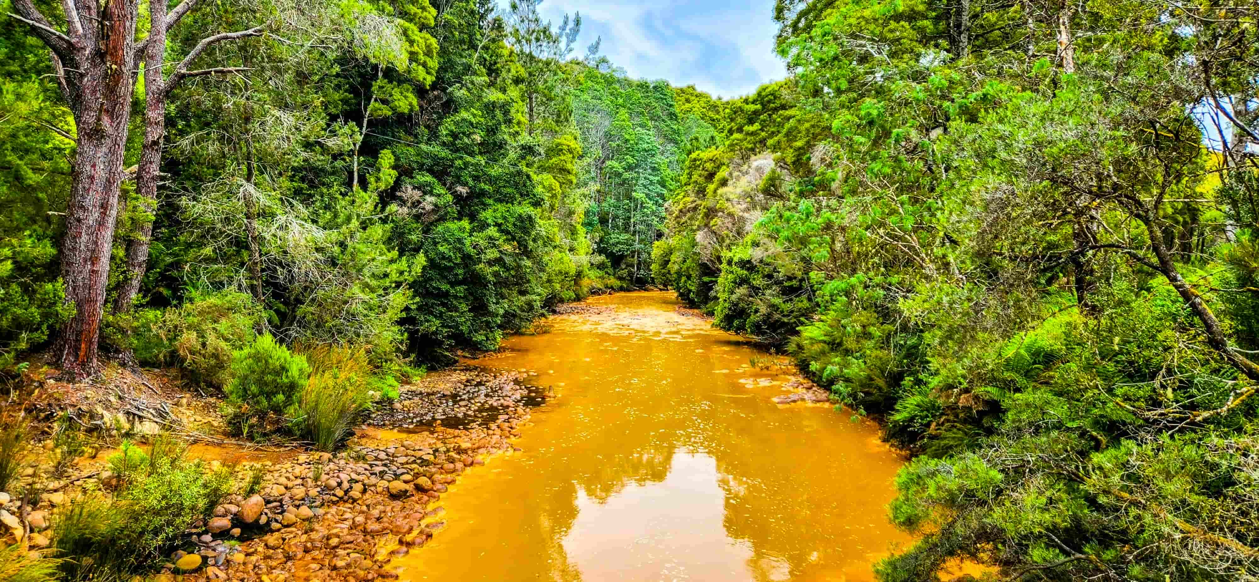 Queen River at Lynchford Station