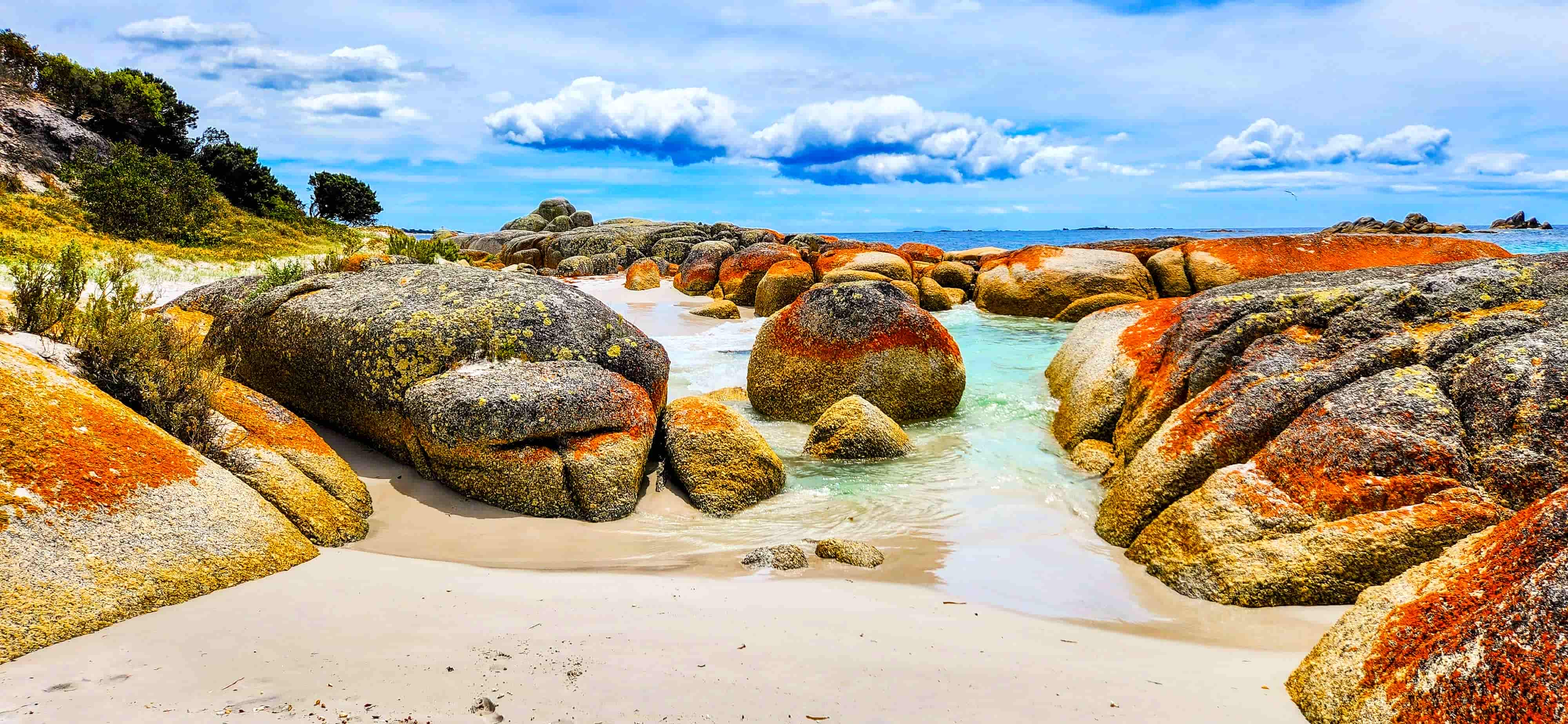 Bay of Fires at Picnic Rocks
