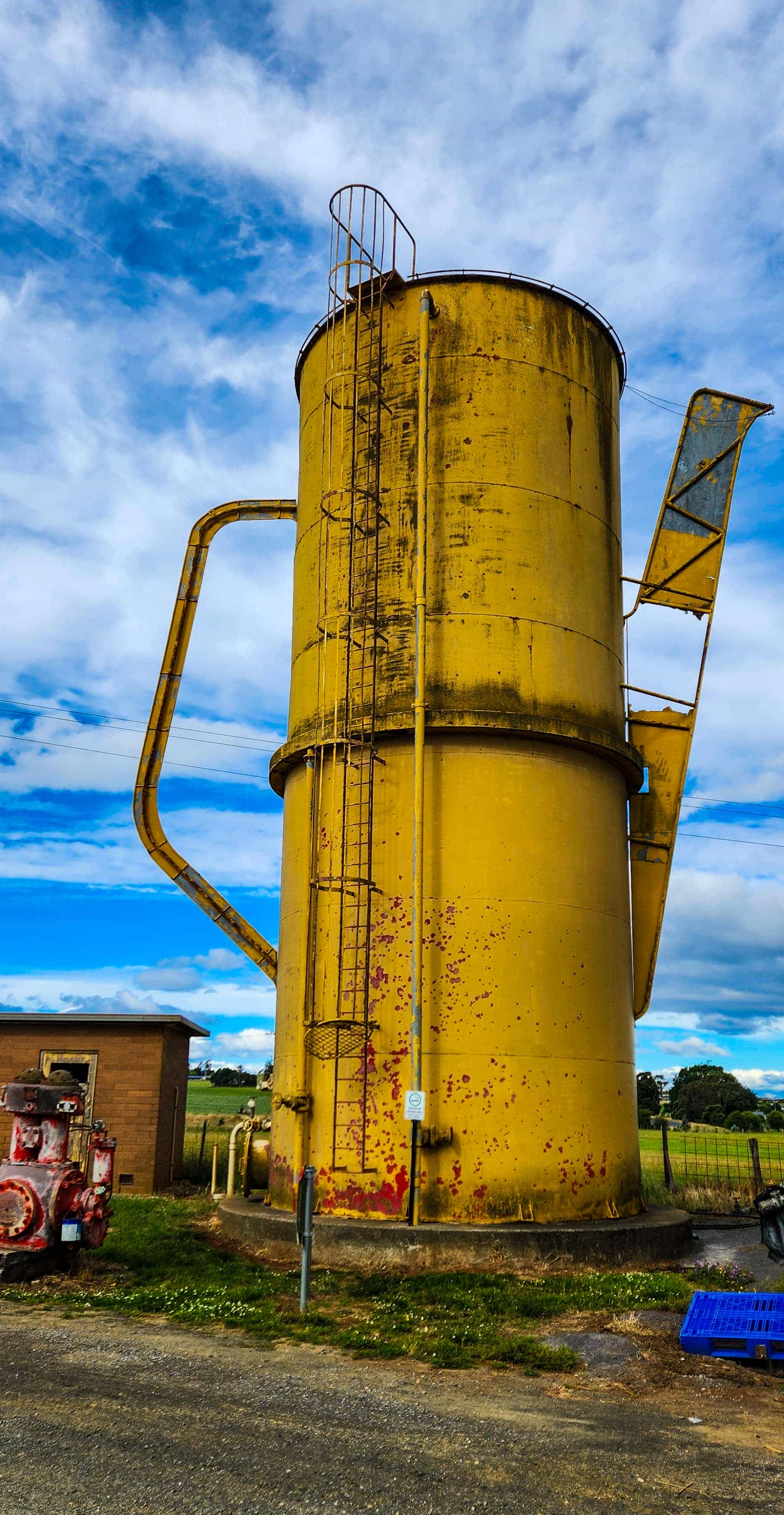 The Big Tasmanian Devil at Trowunna Wildlife Sanctuary