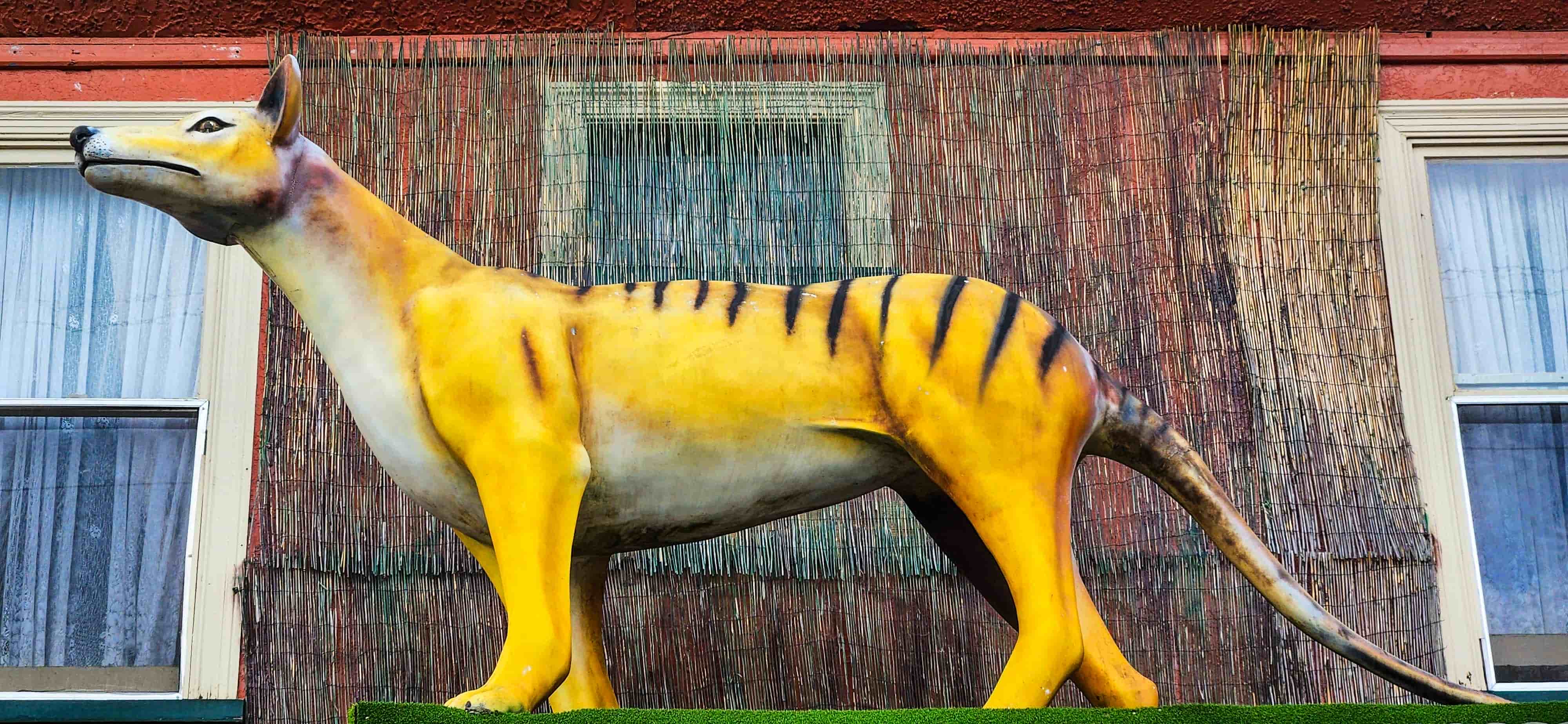 The Big Tasmanian Tiger atop the Mole Creek Hotel