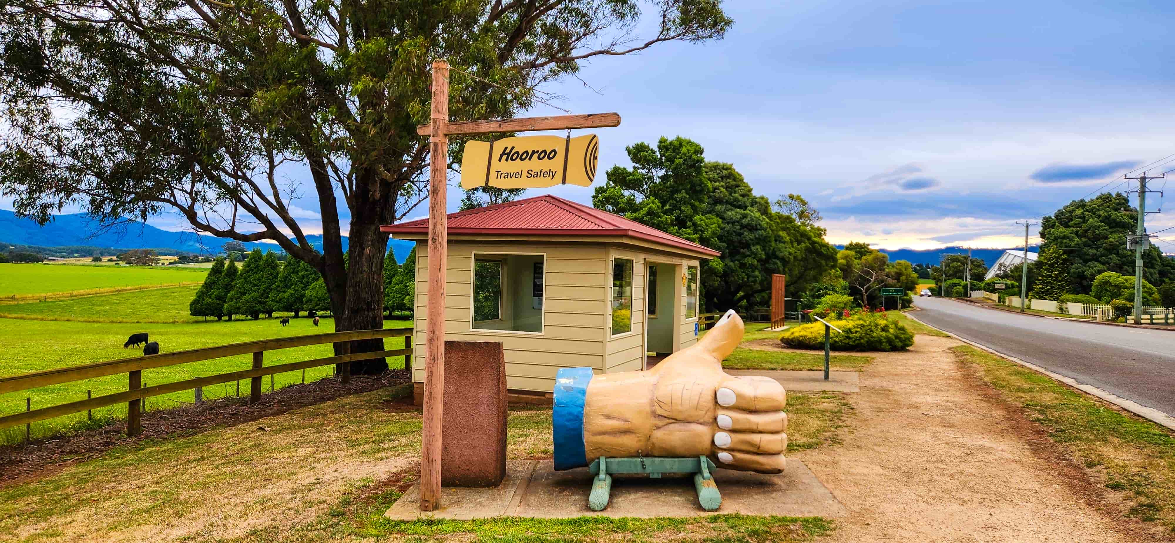 The Big Thumbs Up in Scottsdale