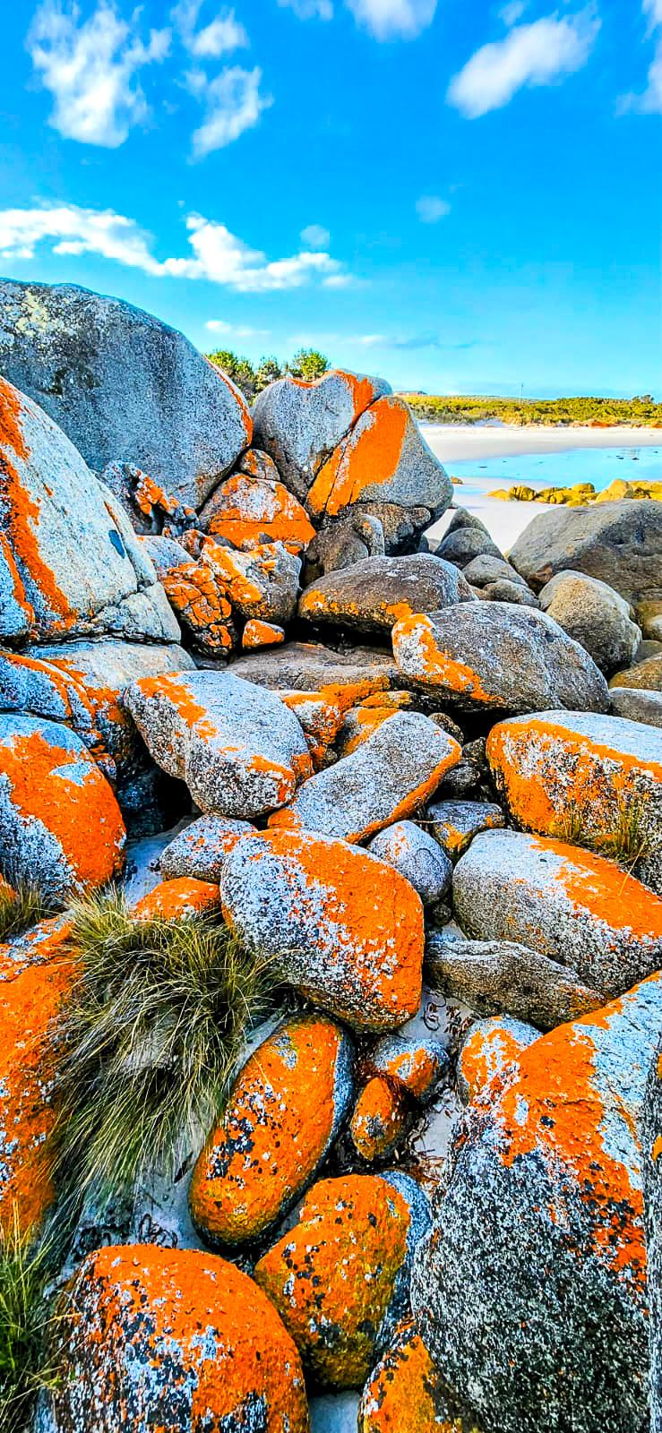Bay of Fires at The Gardens