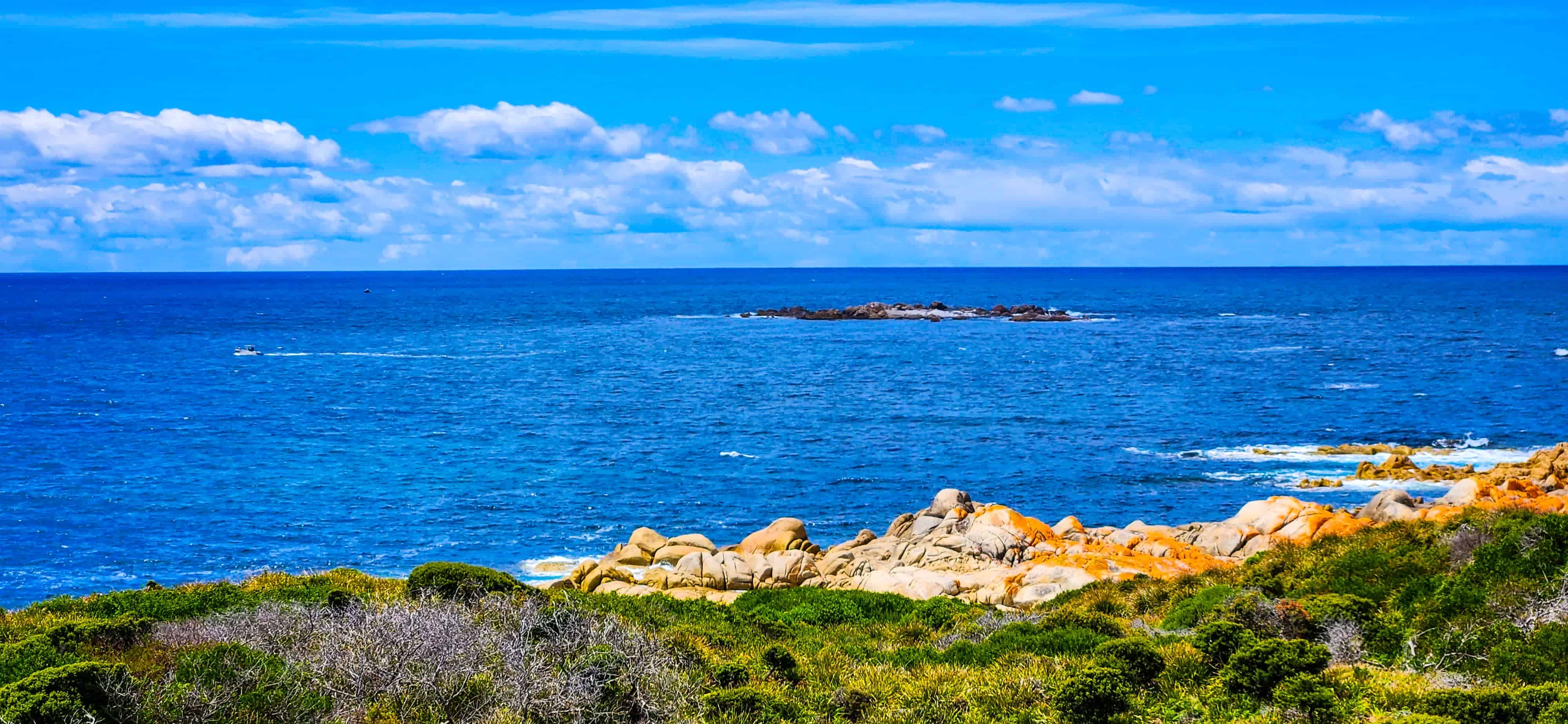 Views from Eddystone Point Lighthouse