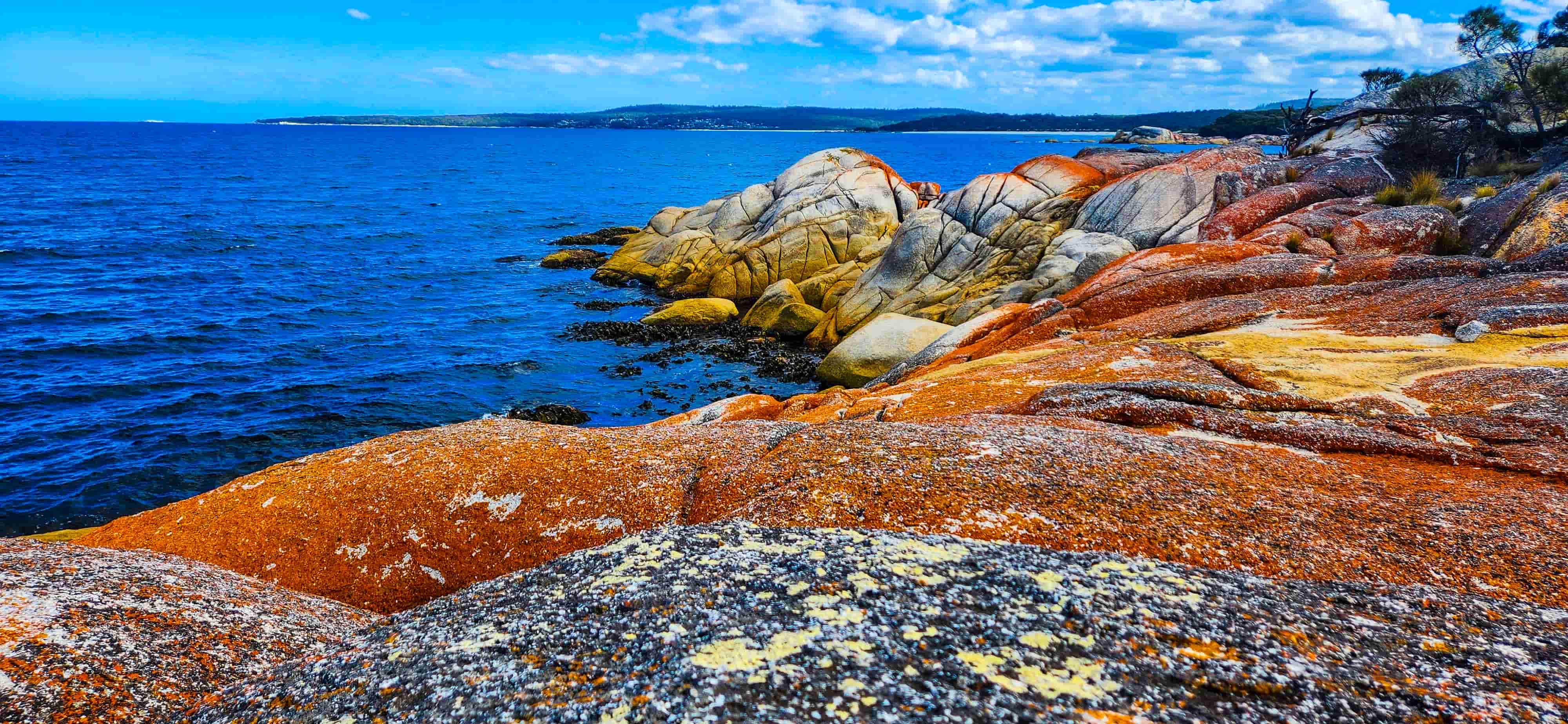 Views from Sloop Rock Lookout