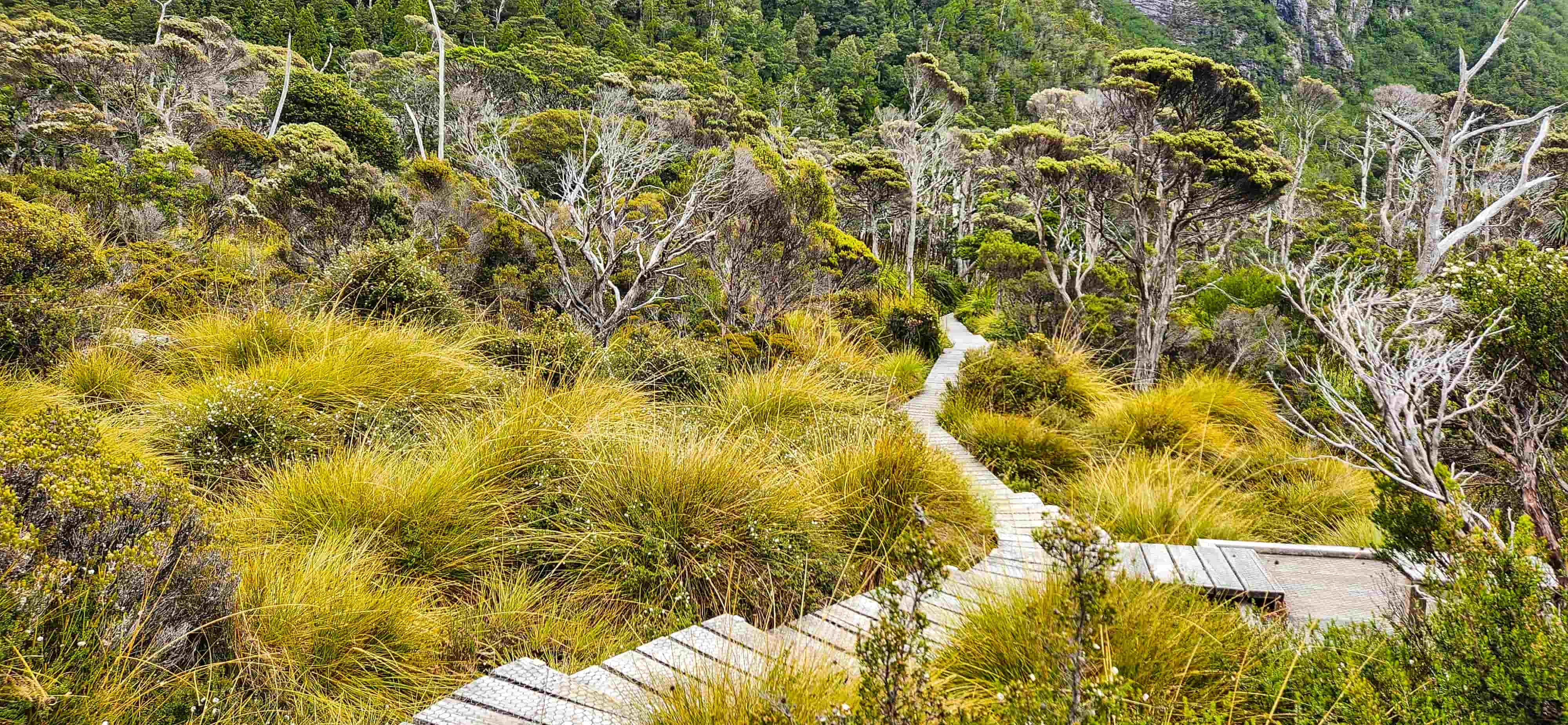 Boardwalk along Dove Lake Circuit Walk
