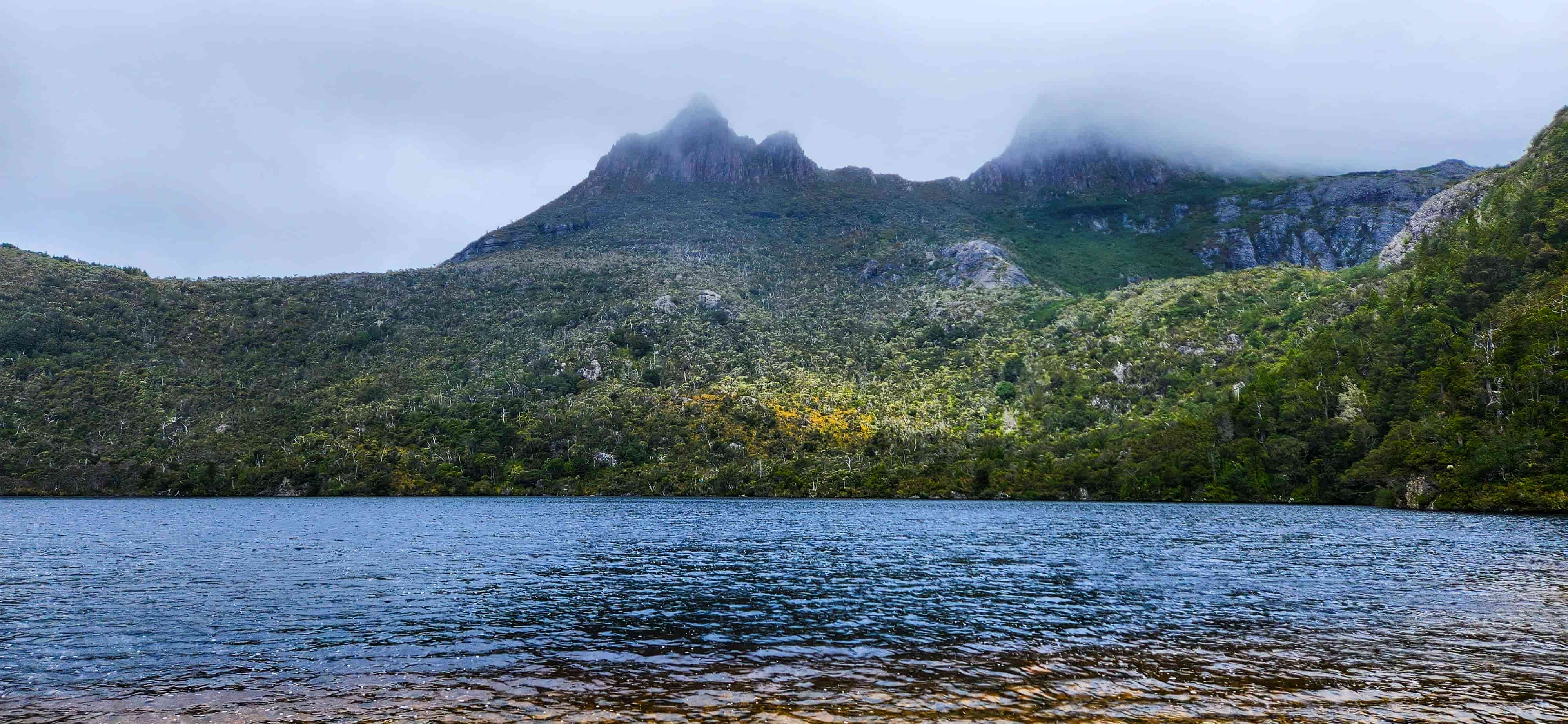 View from Ballroom Forest