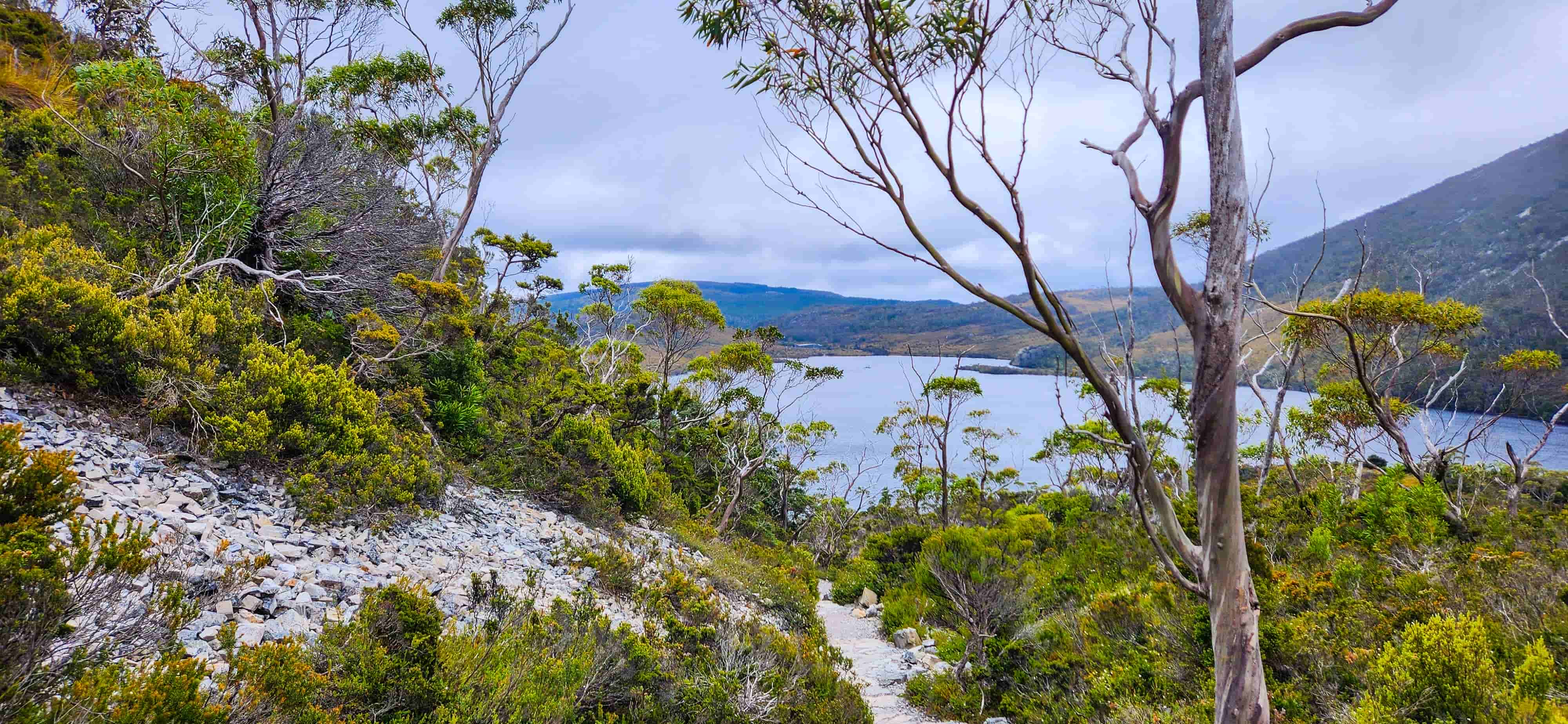 On the way to Boatshed along Dove Lake Circuit Walk