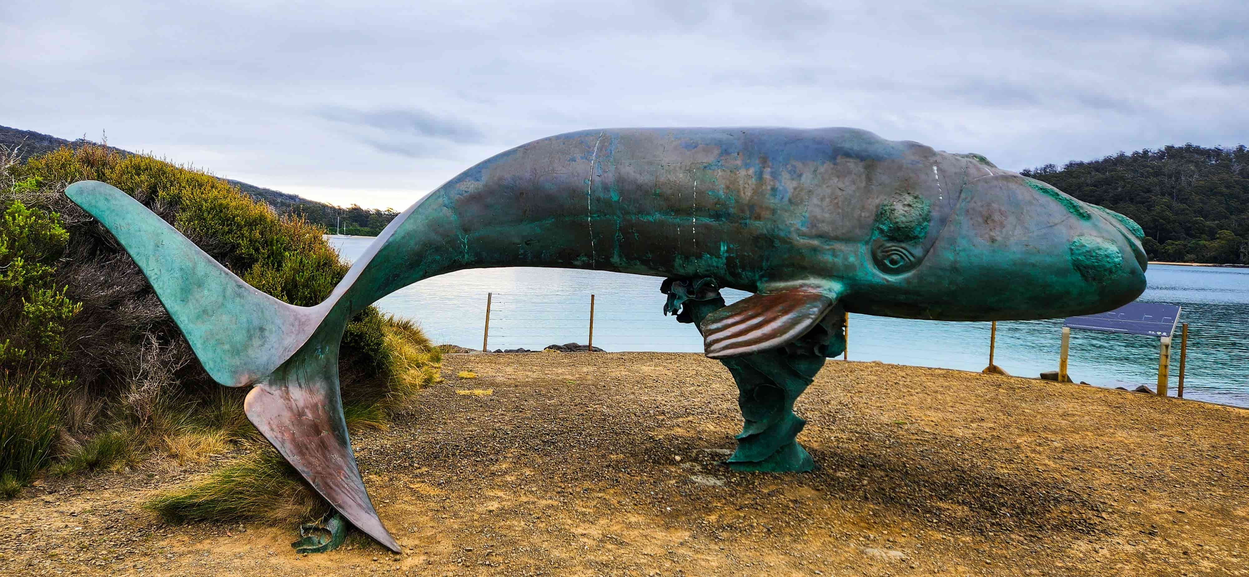 Southern Right Whale calf sculpture at Cockle Creek