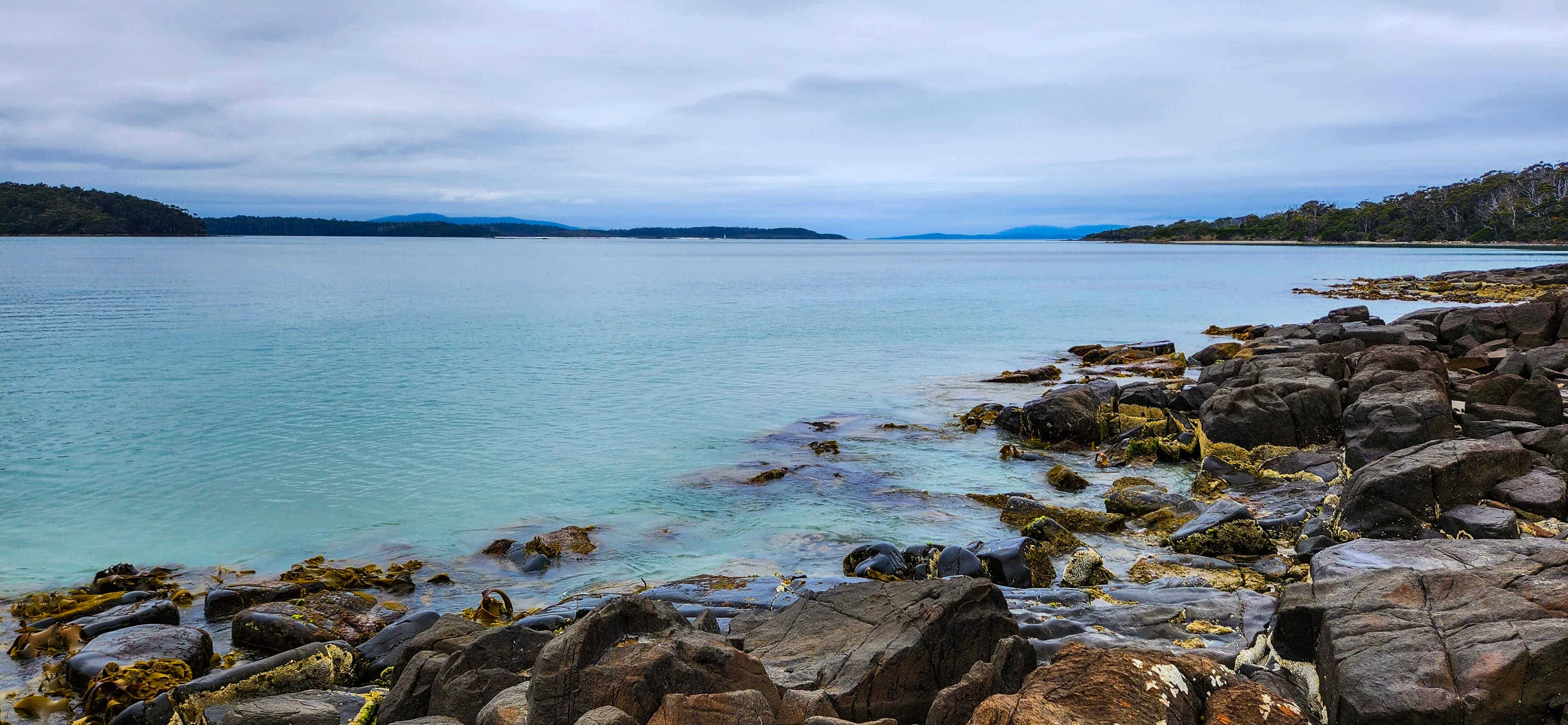 Adams Point Whale Lookout