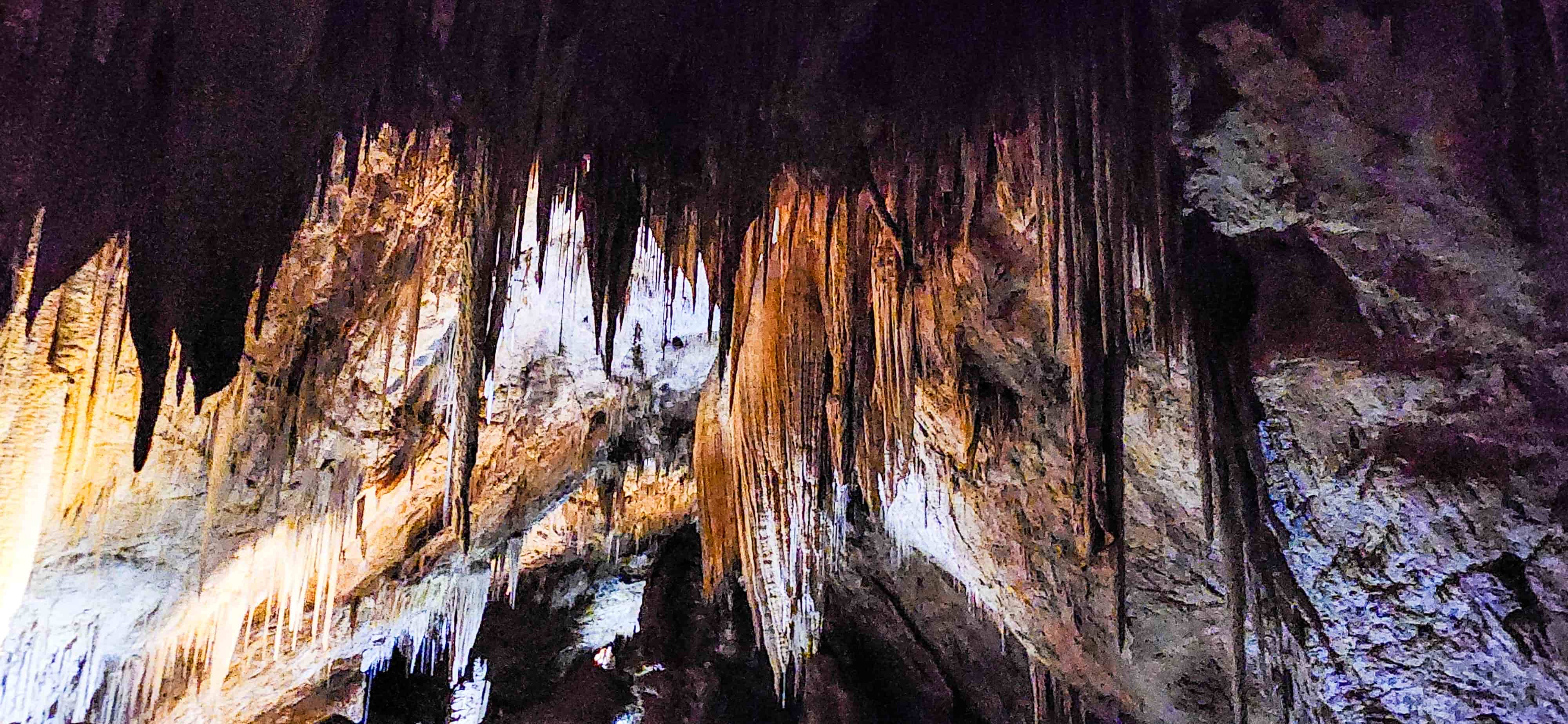 Newdegate Cave