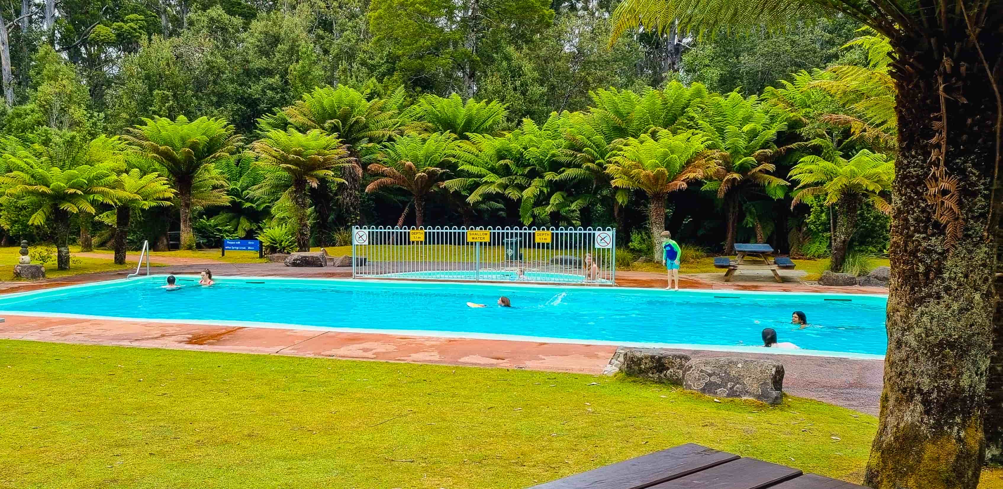 Hastings Caves and Thermal Springs