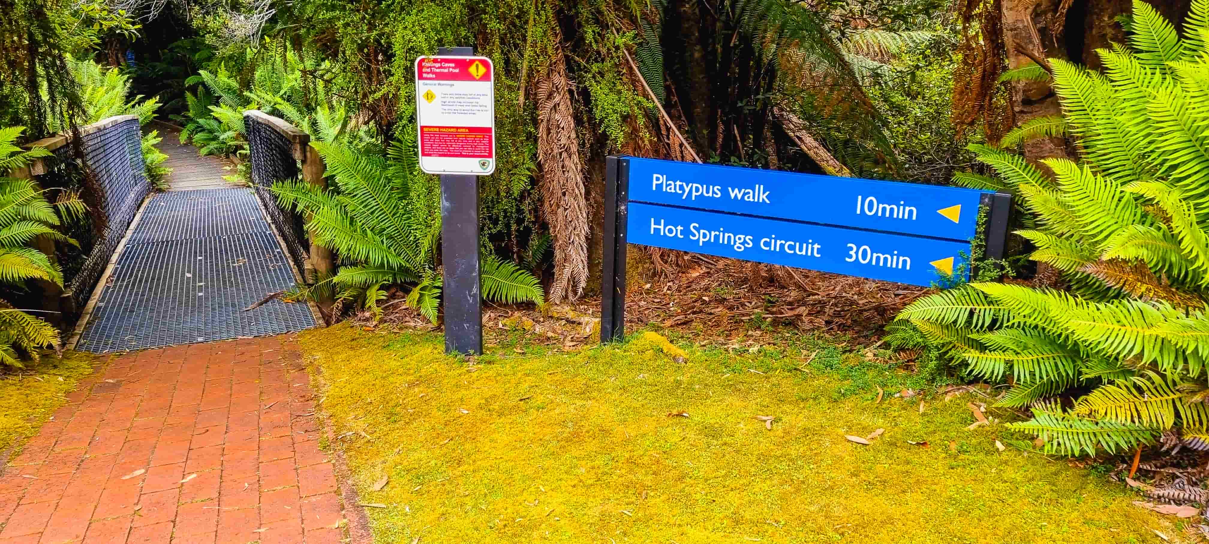 Platypus Walk at Hastings Caves and Thermal Springs