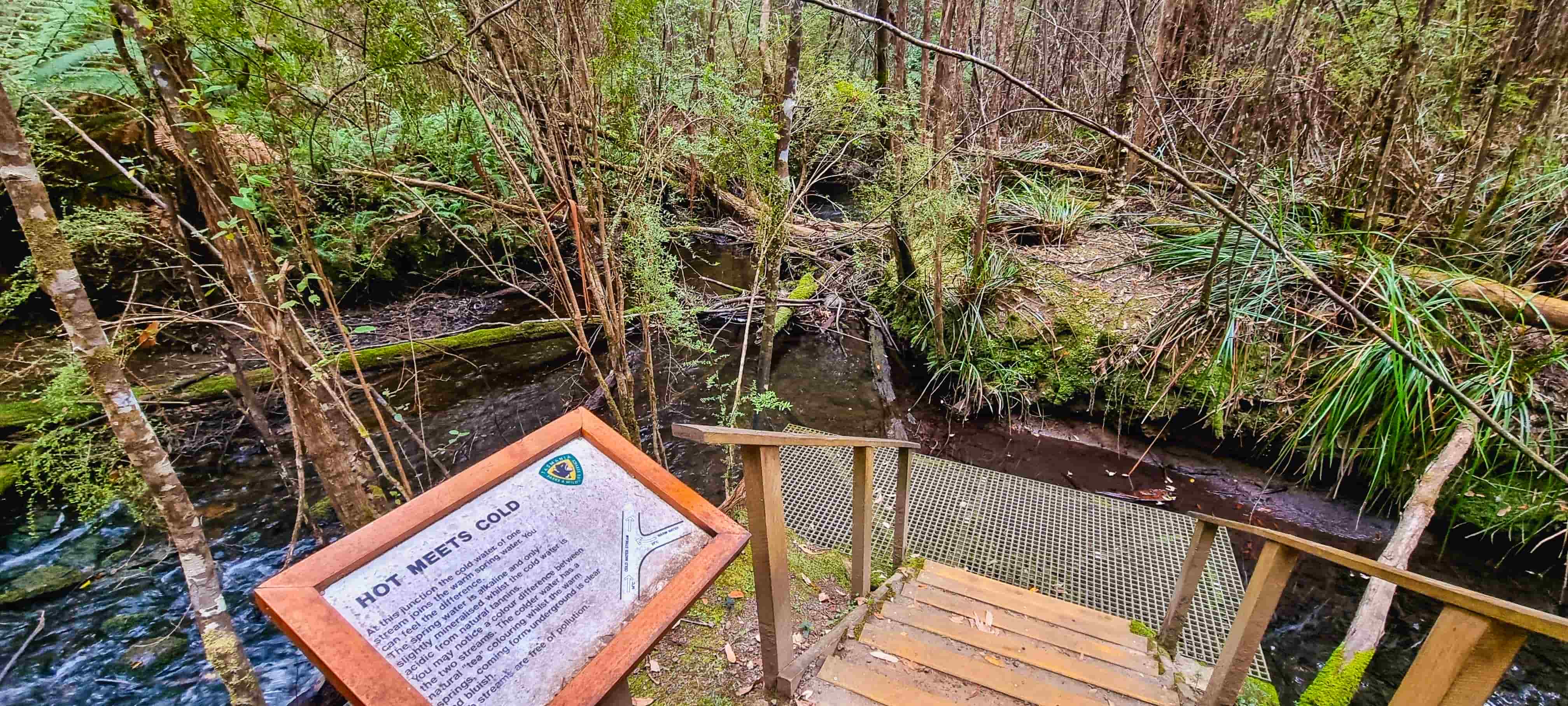 Hastings Hot Spring - Hot meets Cold
