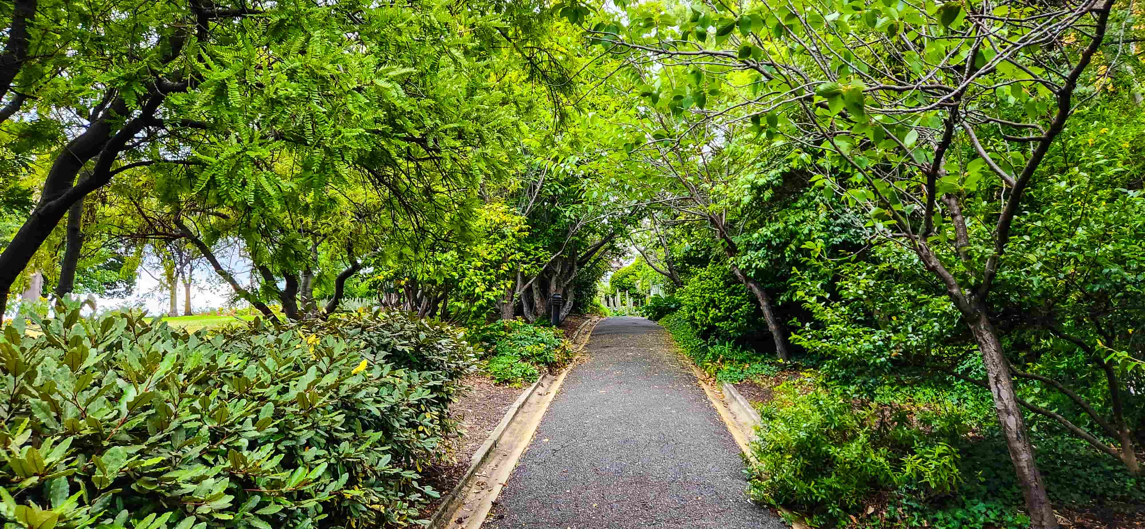 Princes Park at Battery Square, Hobart