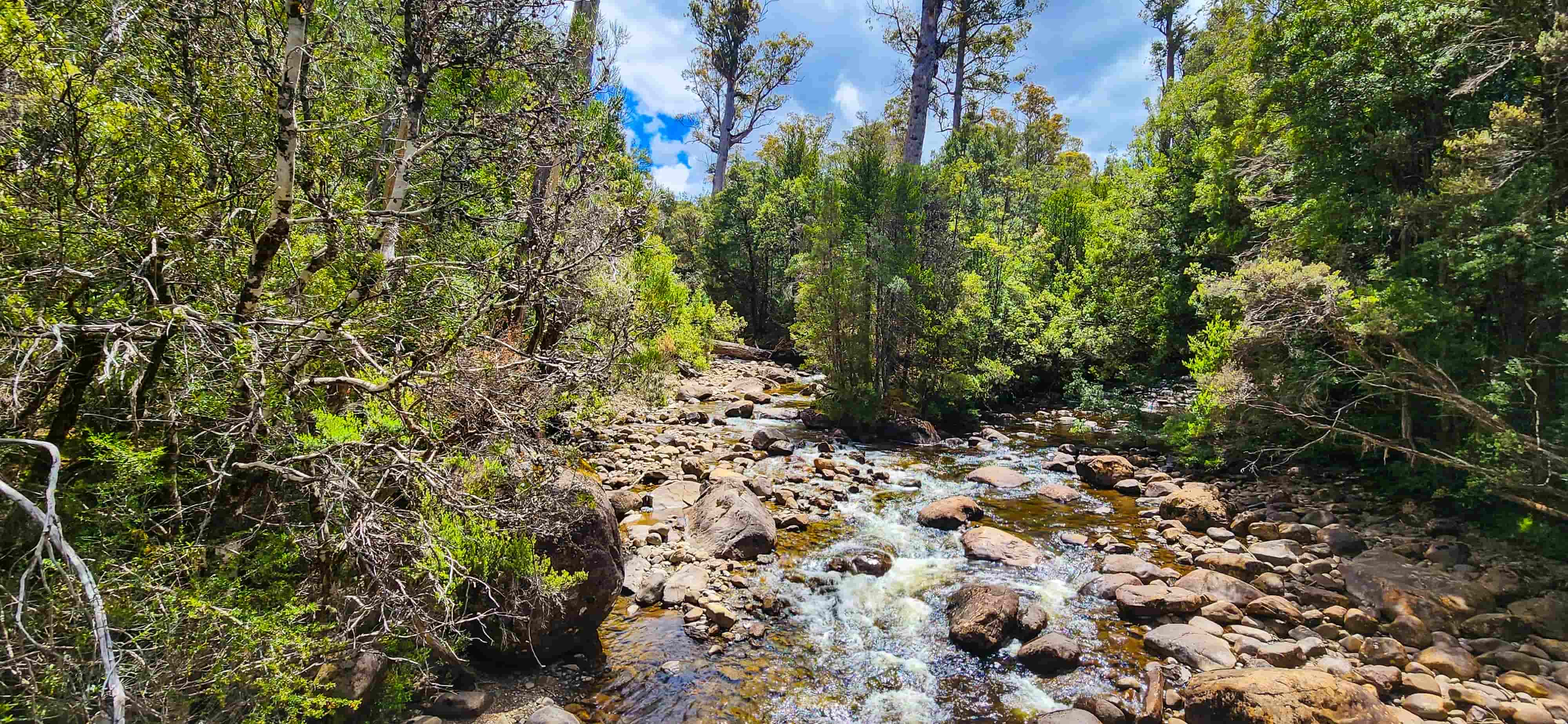 Watersmeet, Lake St Clair