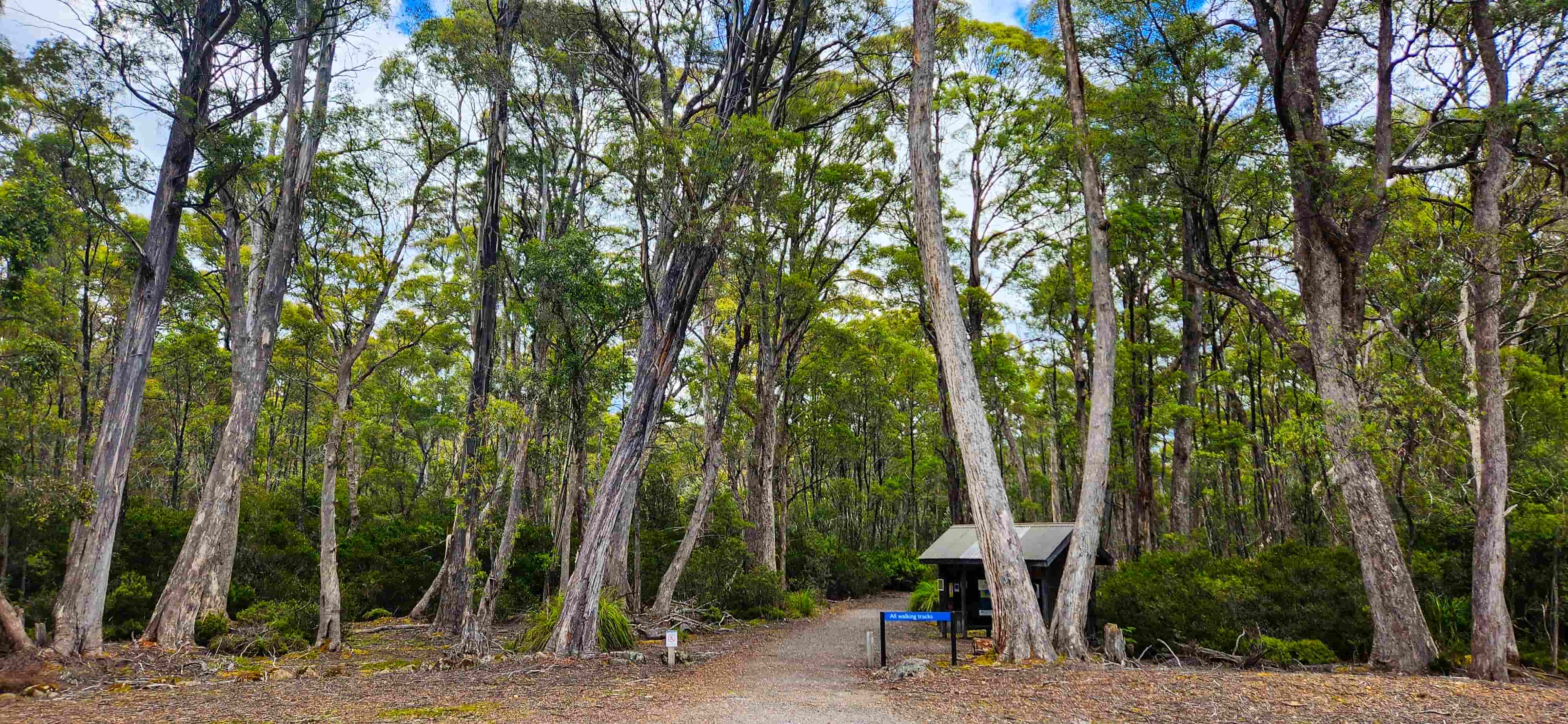 Lake St Clair Walk Trailhead