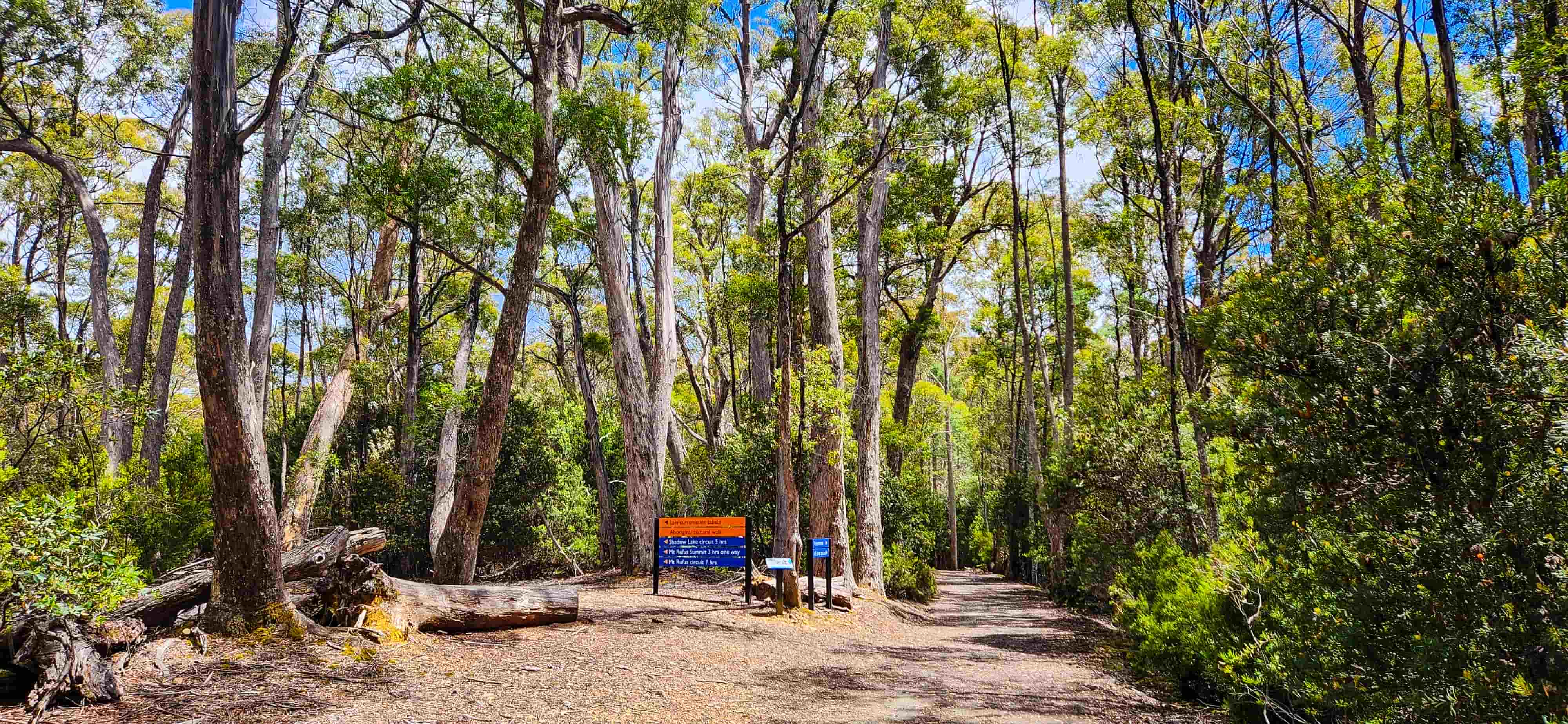Mount Rufus Walking Track Intersection