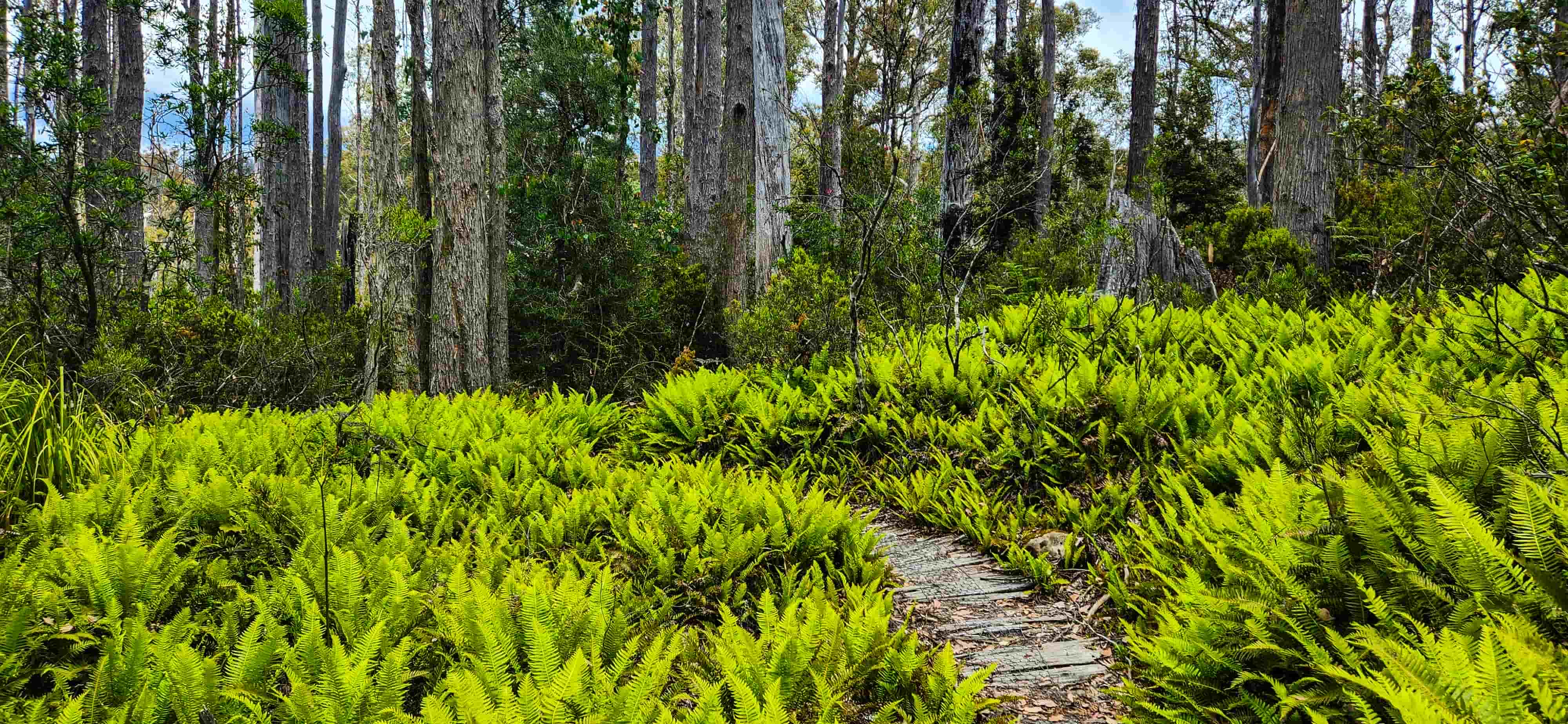 Larmairremener tabelti walking trail