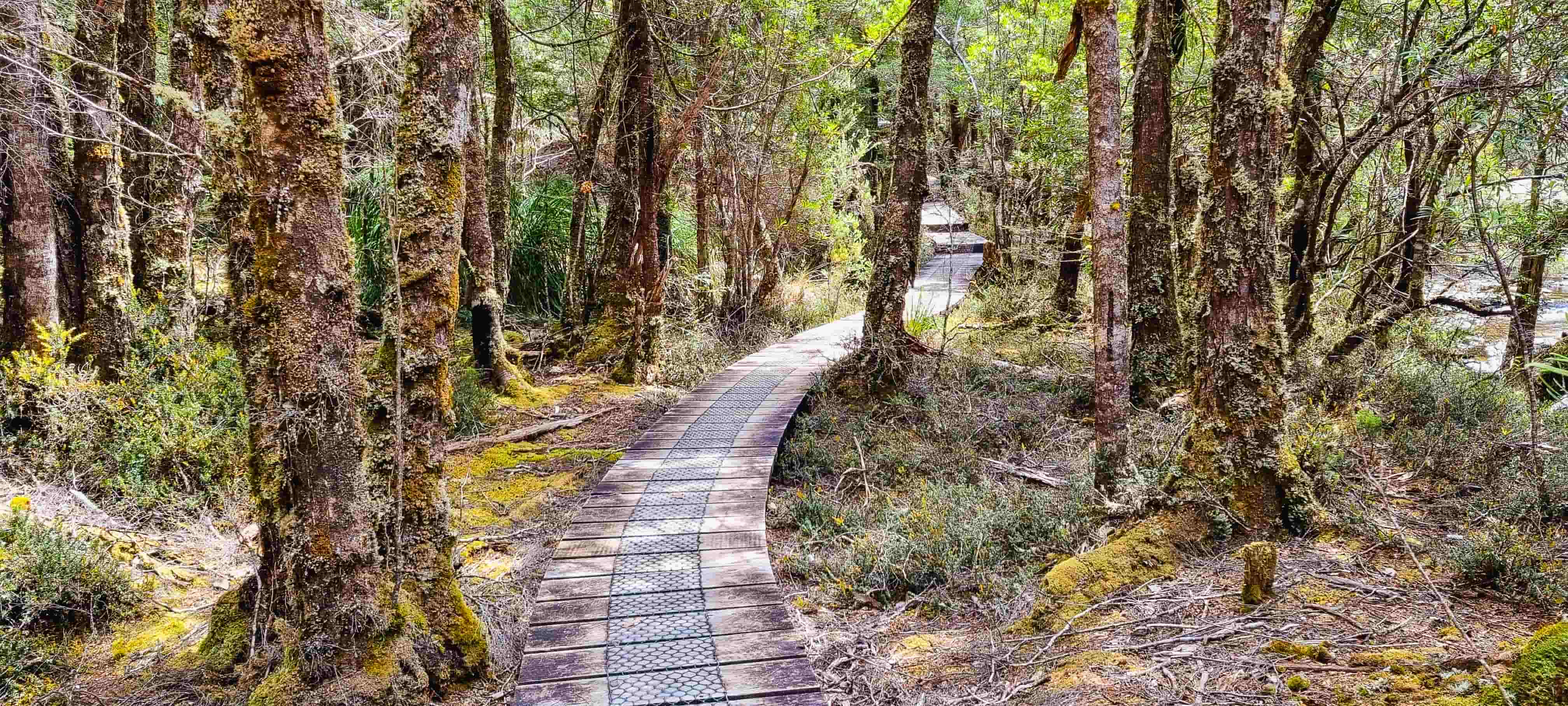 Aboriginal Cultural Walk Track