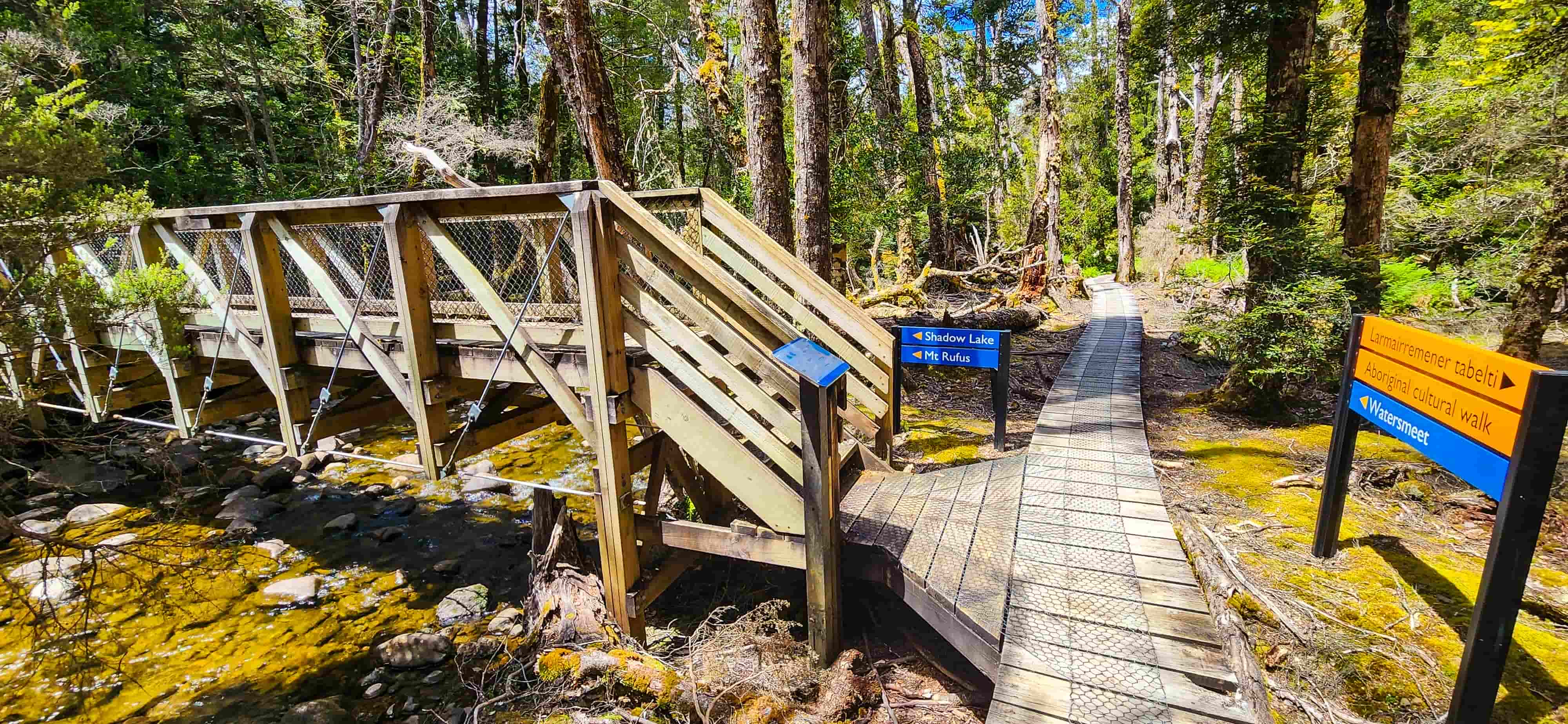 Shadow Lake Walking Track Intersection