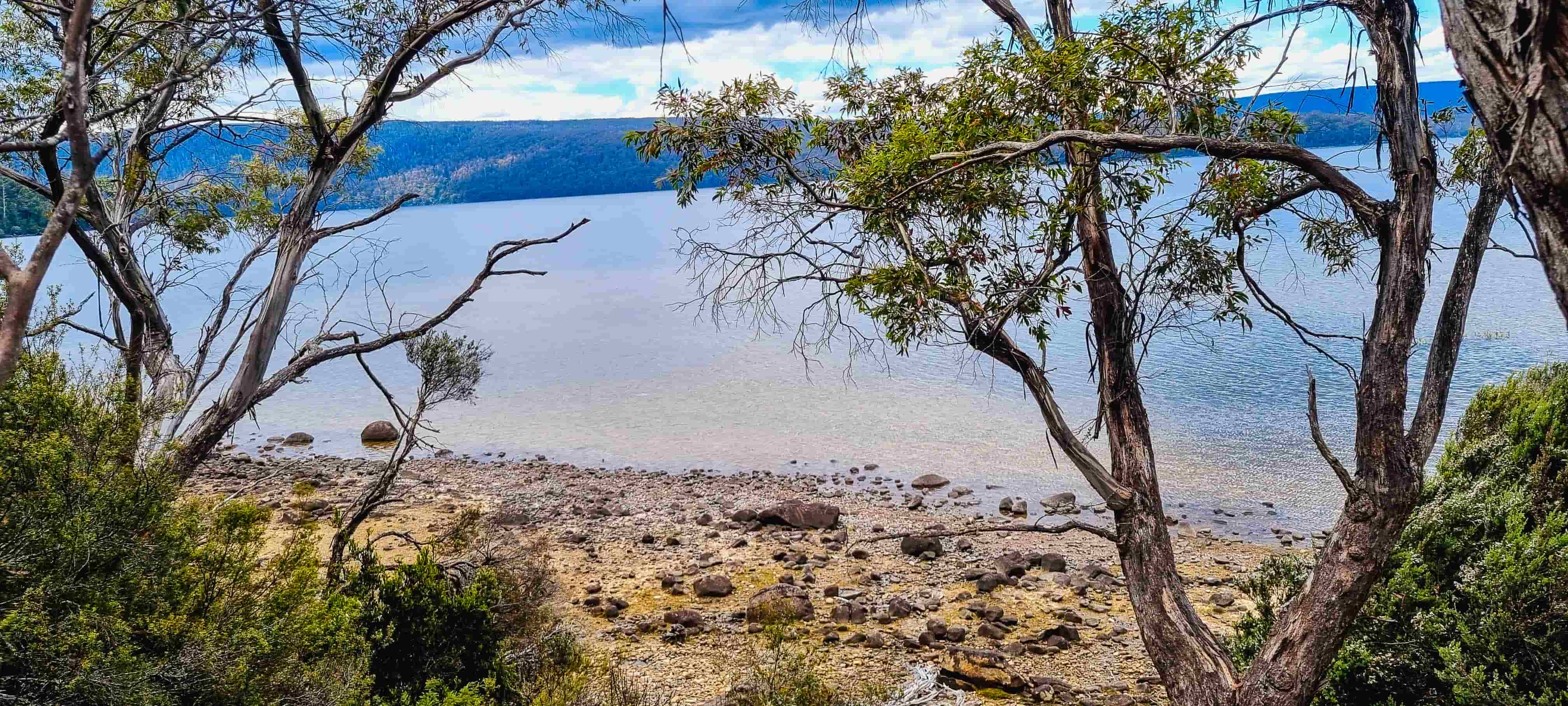 View of Platypus Bay, Lake St Clair