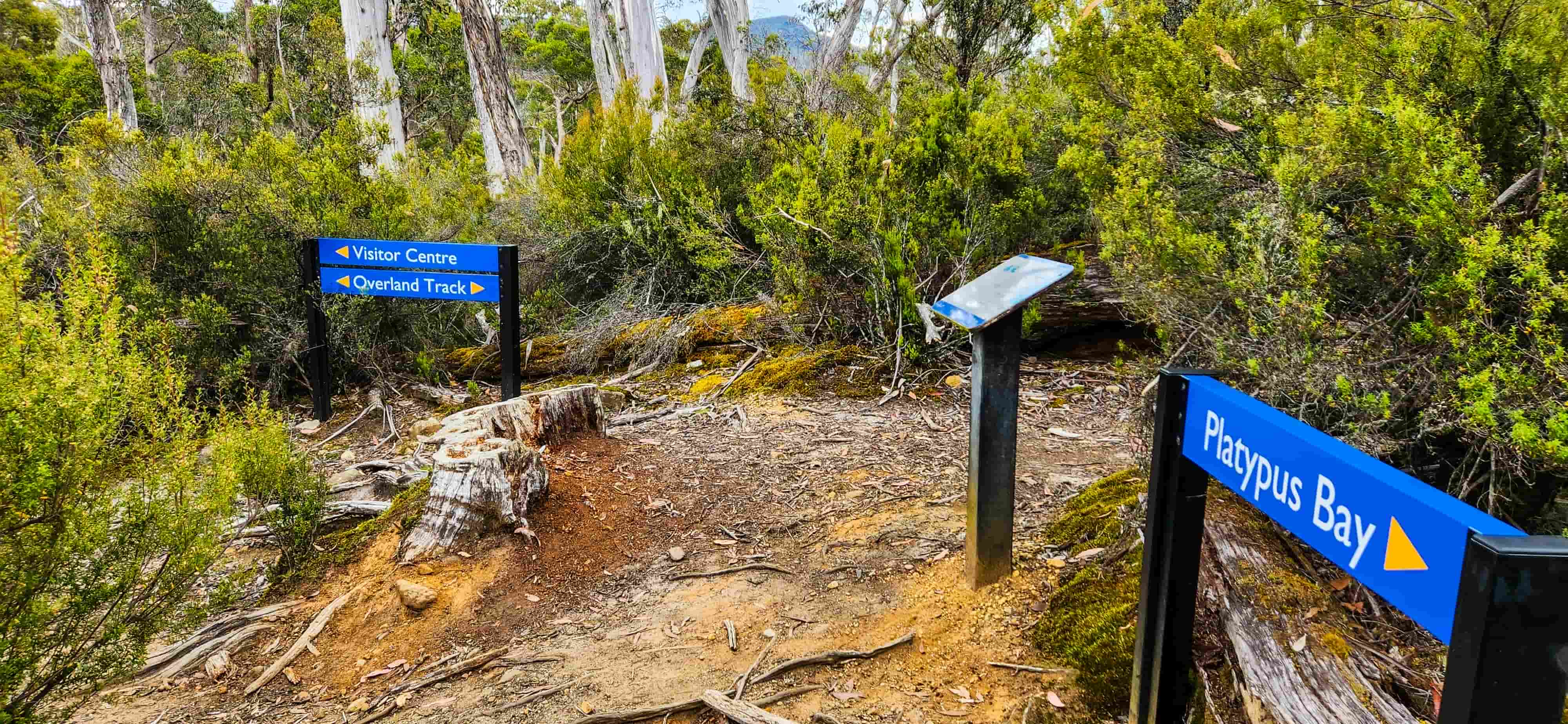 Platypus Bay Intersection