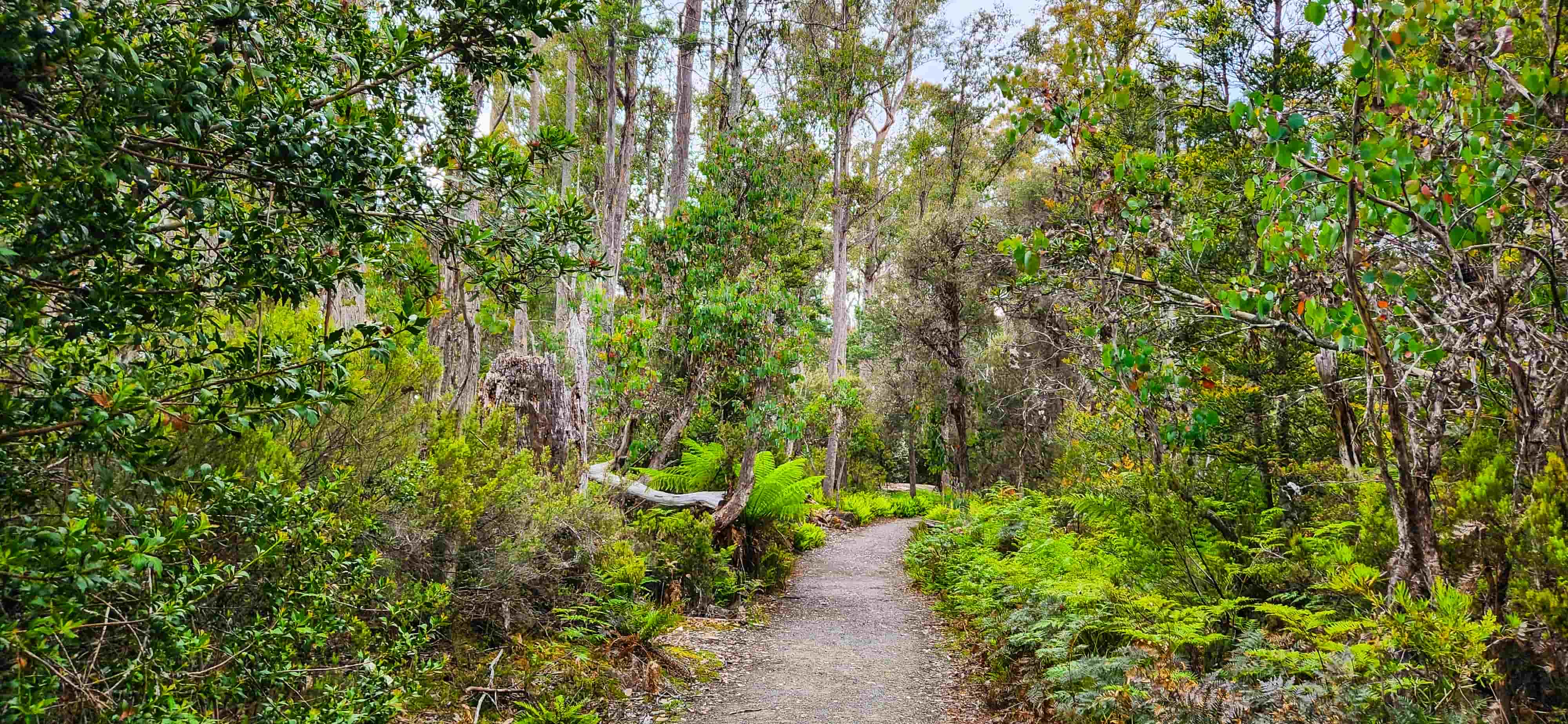 Watersmeet Walking Track