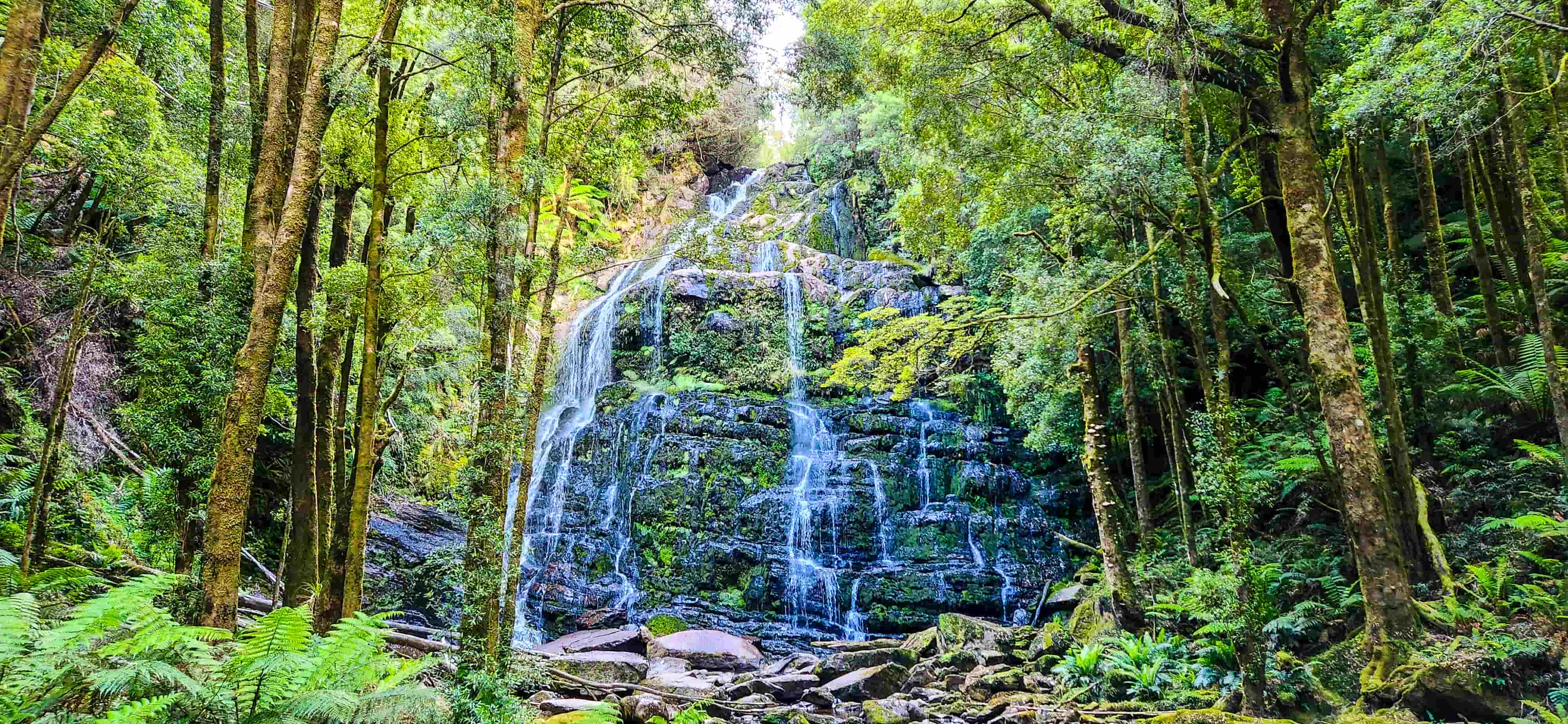 Nelson Falls