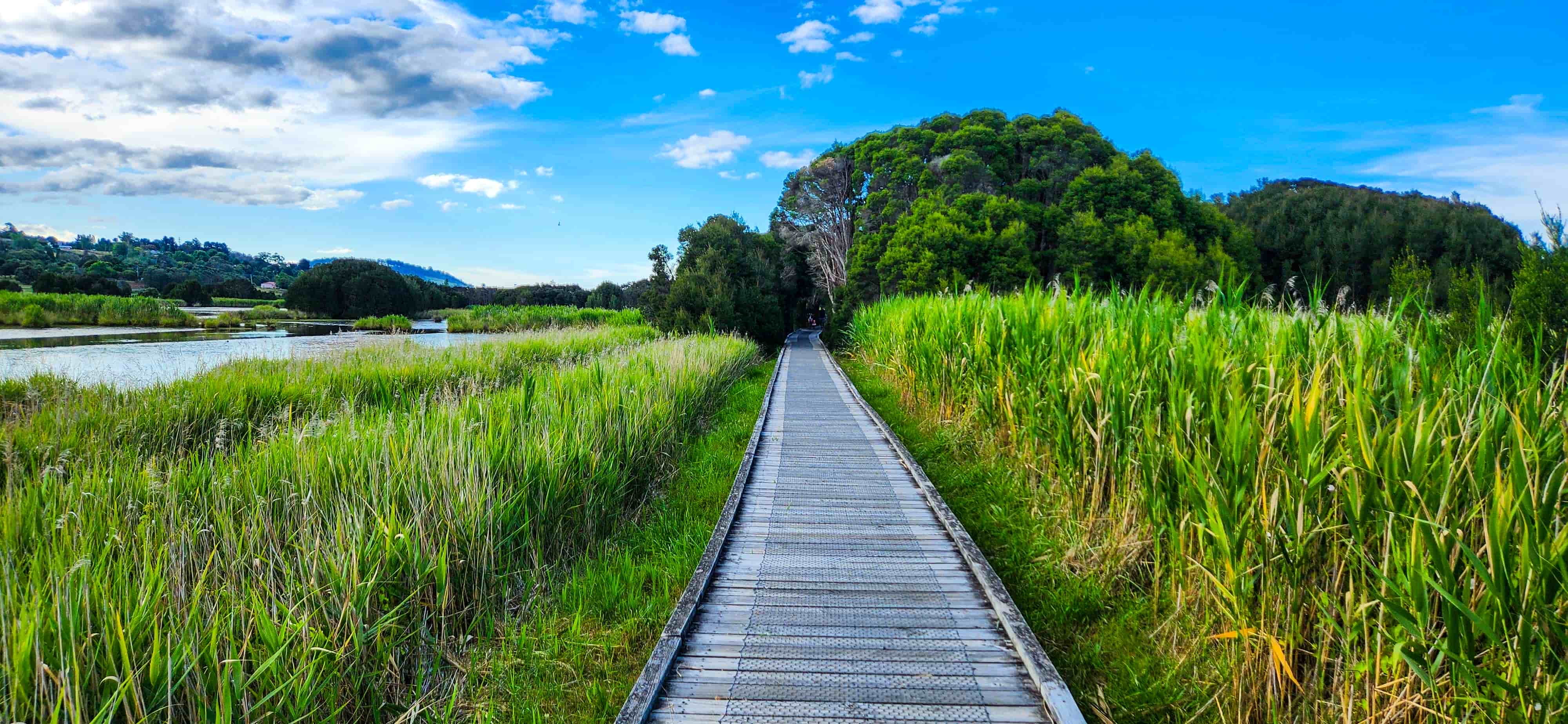 Tamar Island Wetlands Track