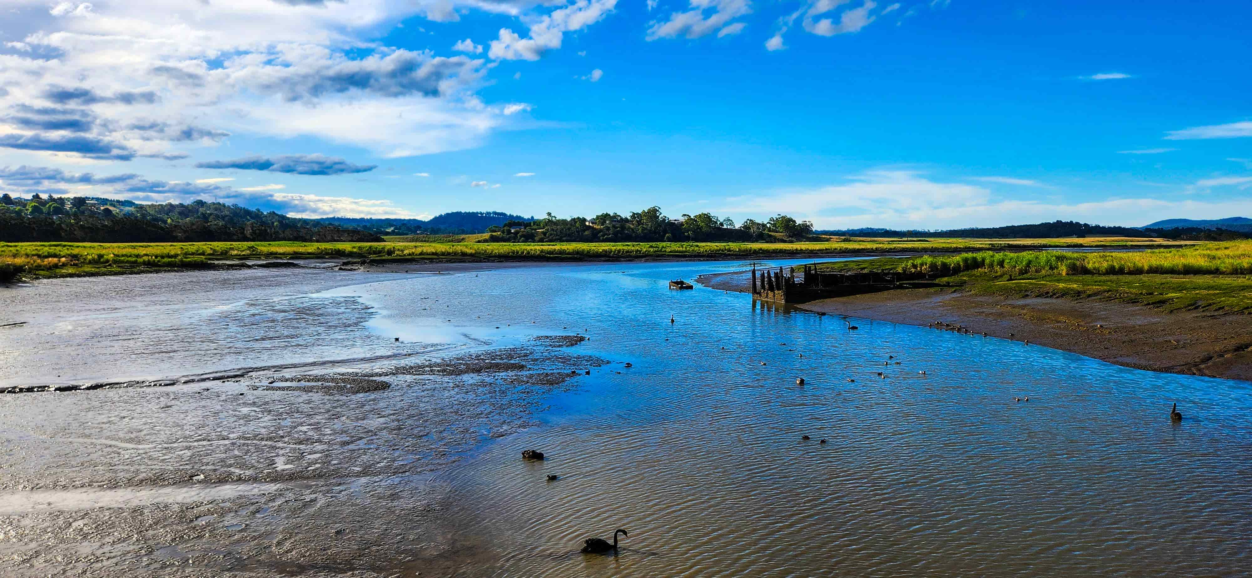 Tamar Island Wetlands Walking Trail