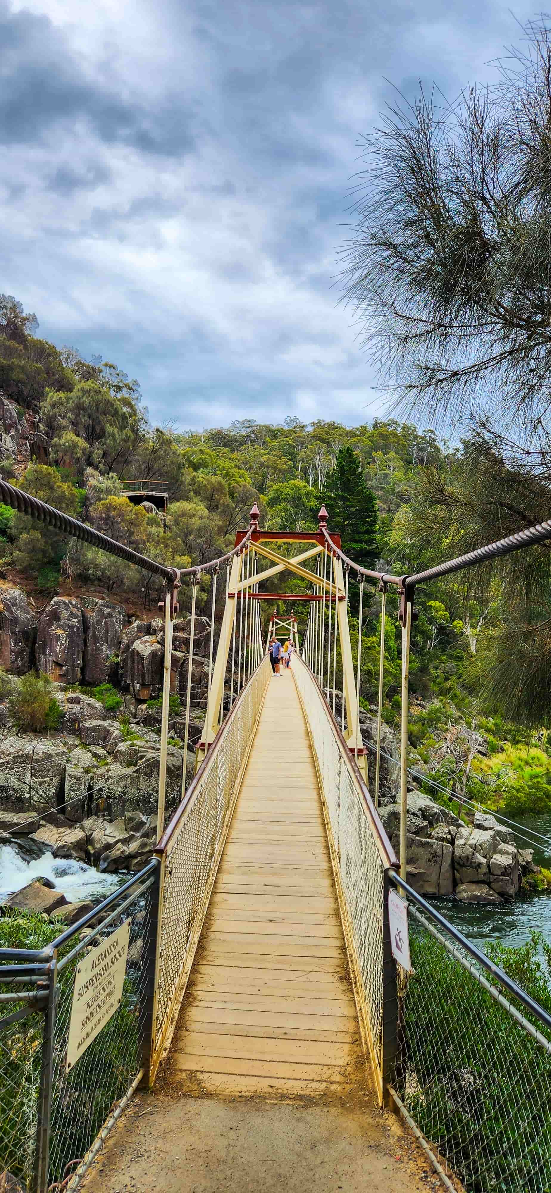 Alexandra Suspension Bridge