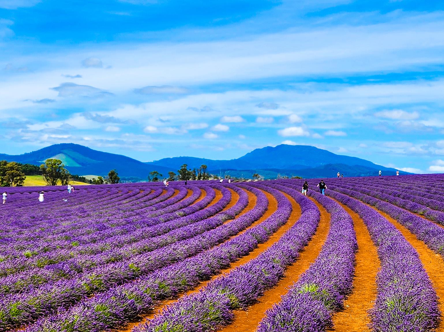 Tasmania Itineraries