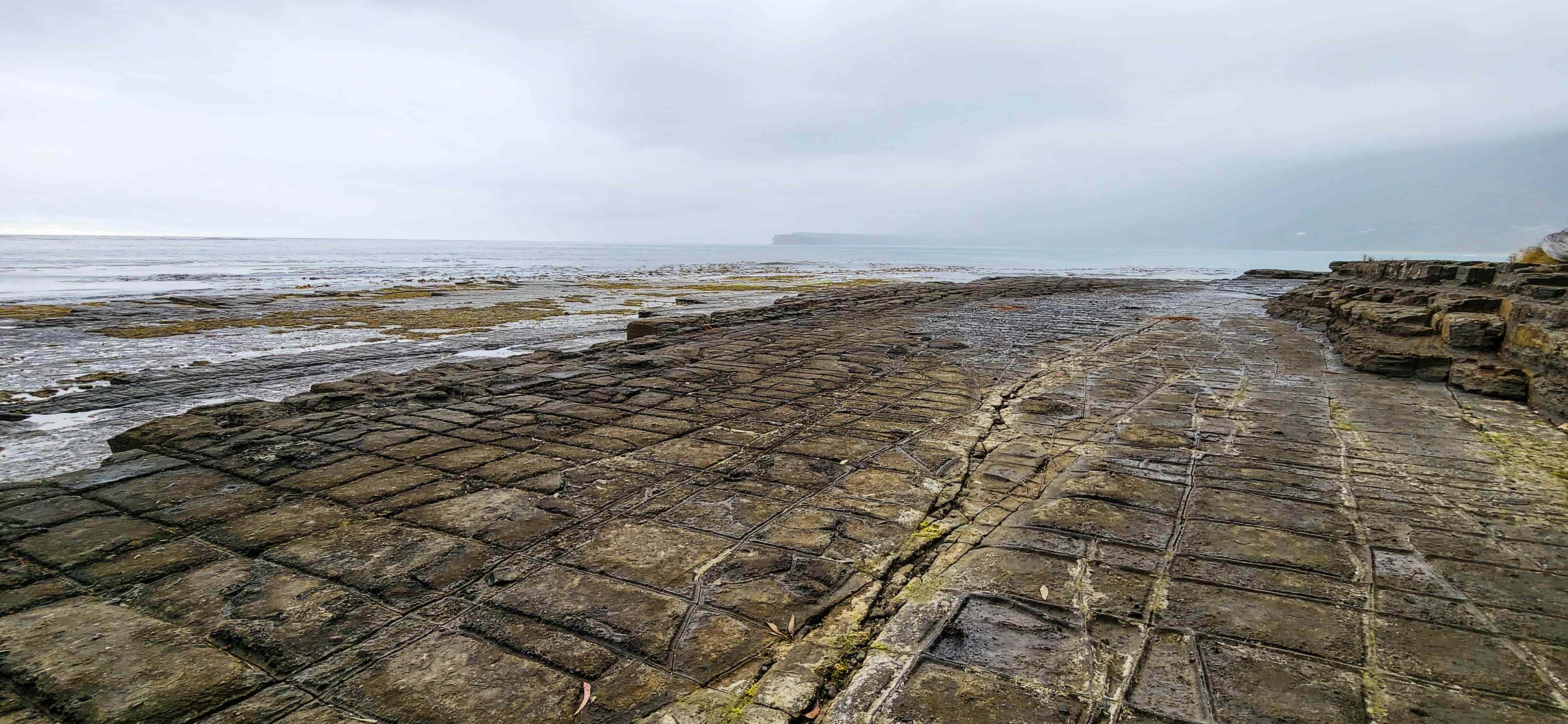 Tessellated Pavement, Eaglehawk Neck