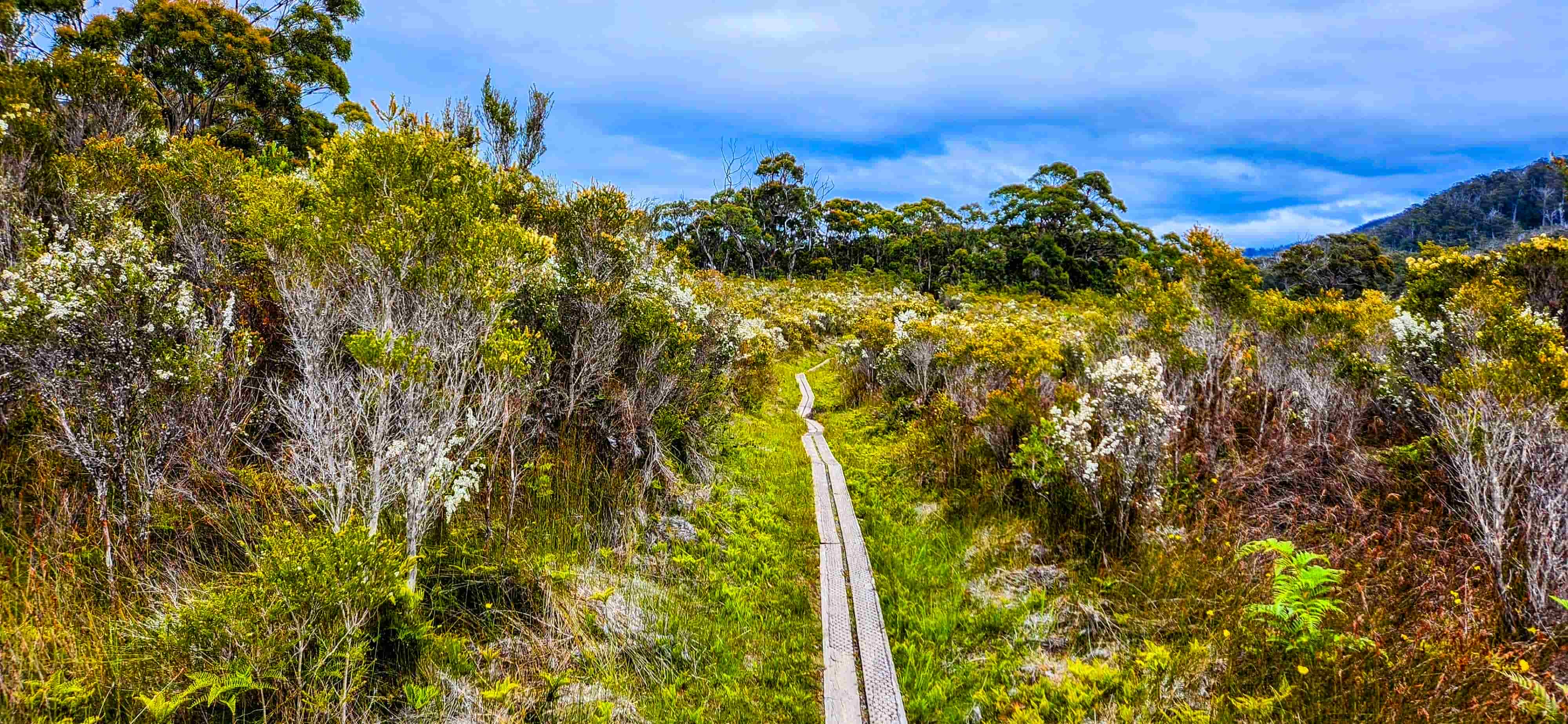 South Cape Bay Duck Boarding
