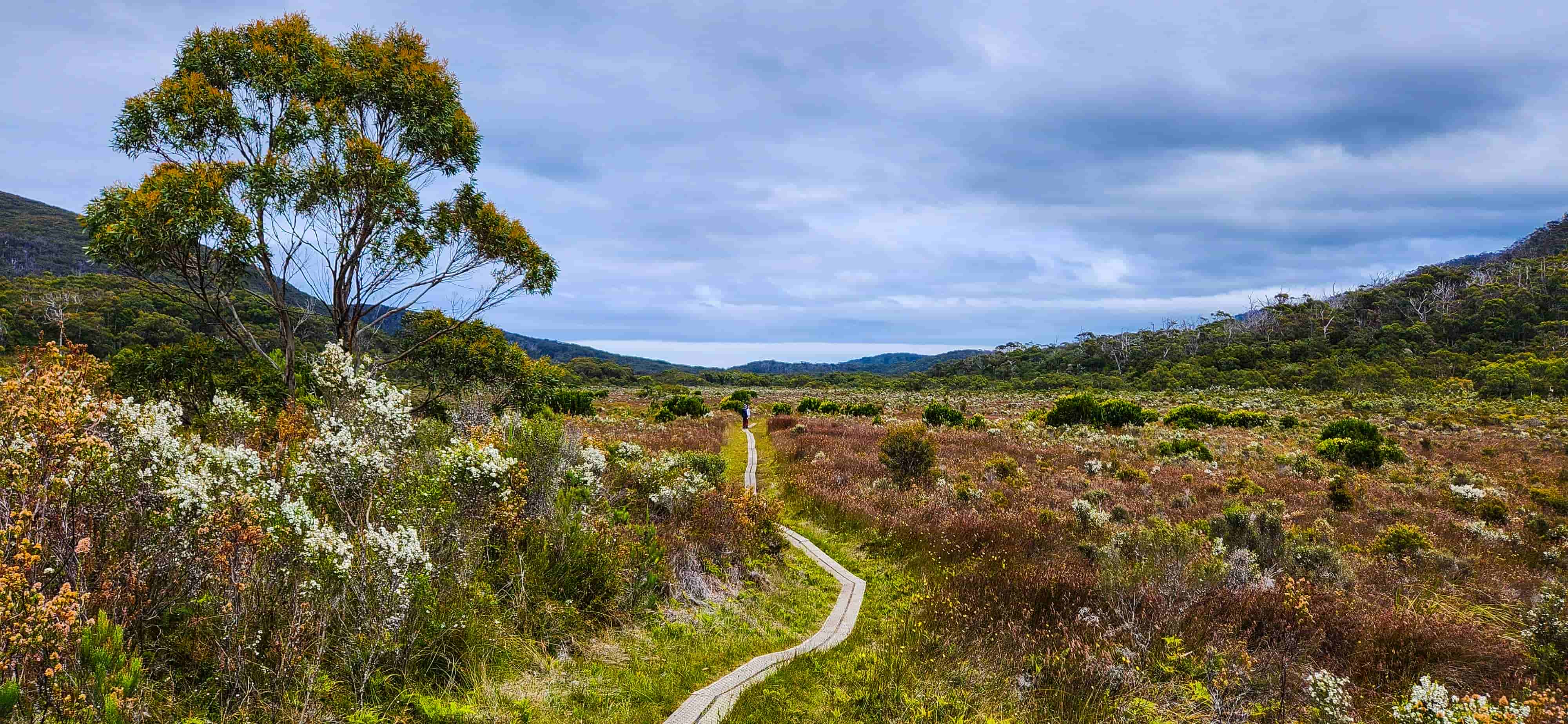 Duck Boarding on the South Cape Bay Trail