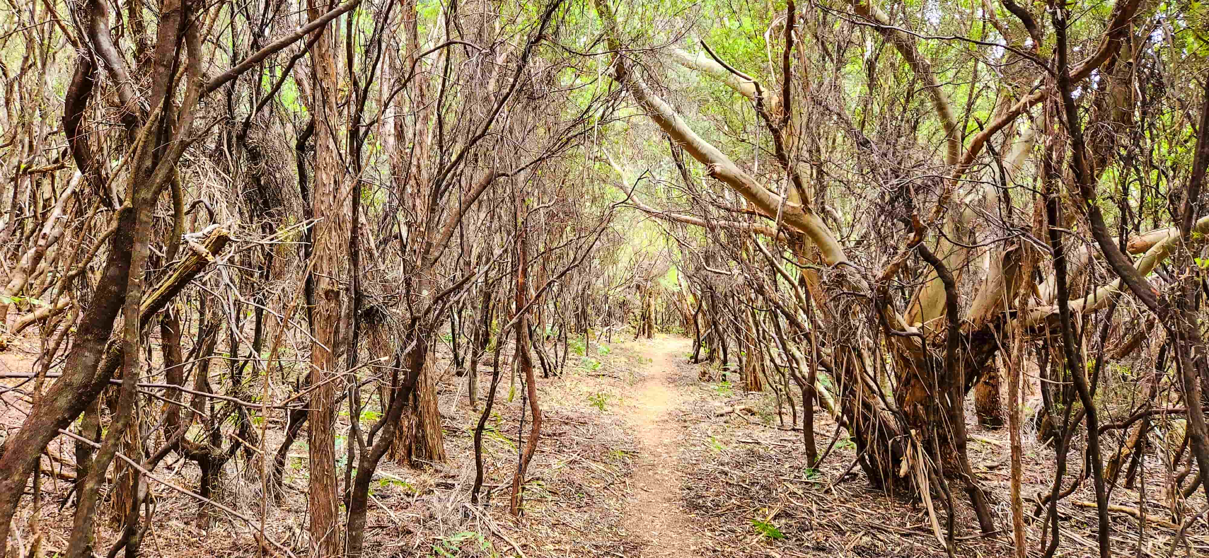 South East Cape Coastal Walk