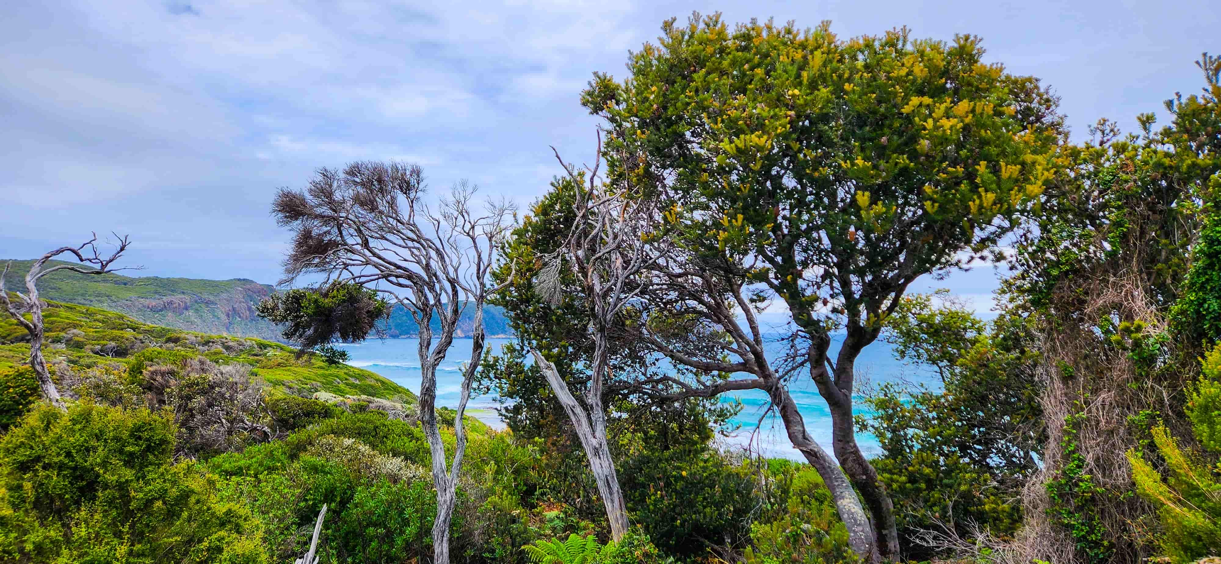 South Cape Bay Coastal View