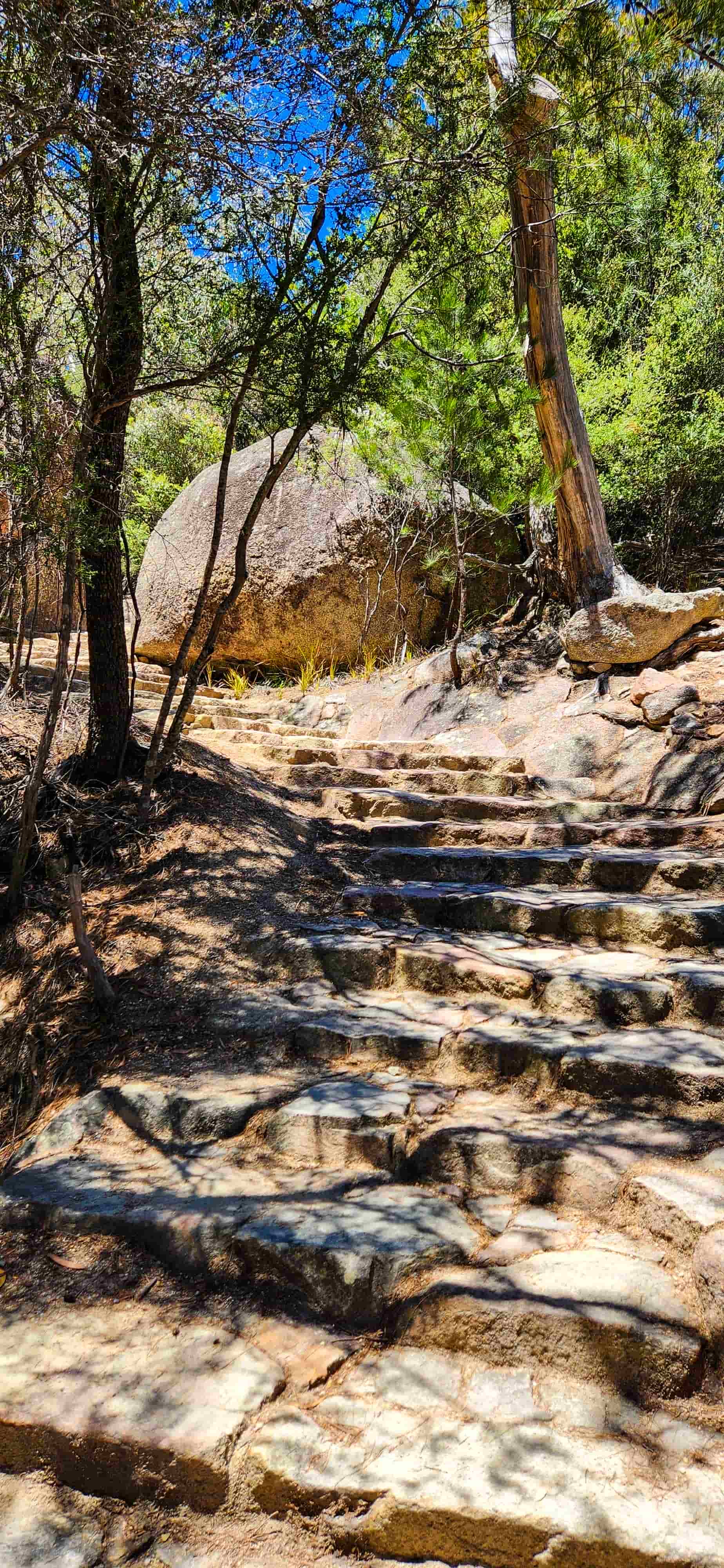 Stairs to Wineglass Bay Lookout