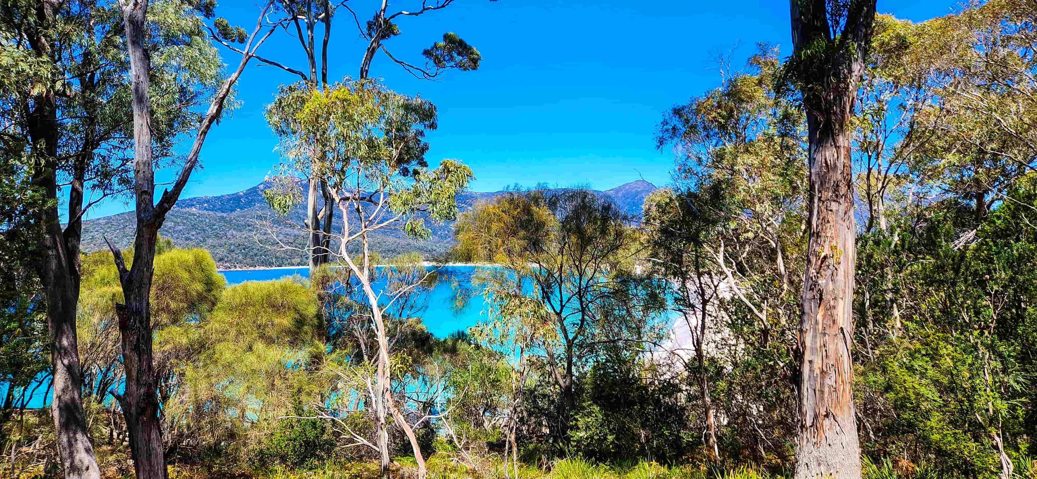 View of the Bay along the Wineglass Bay walk