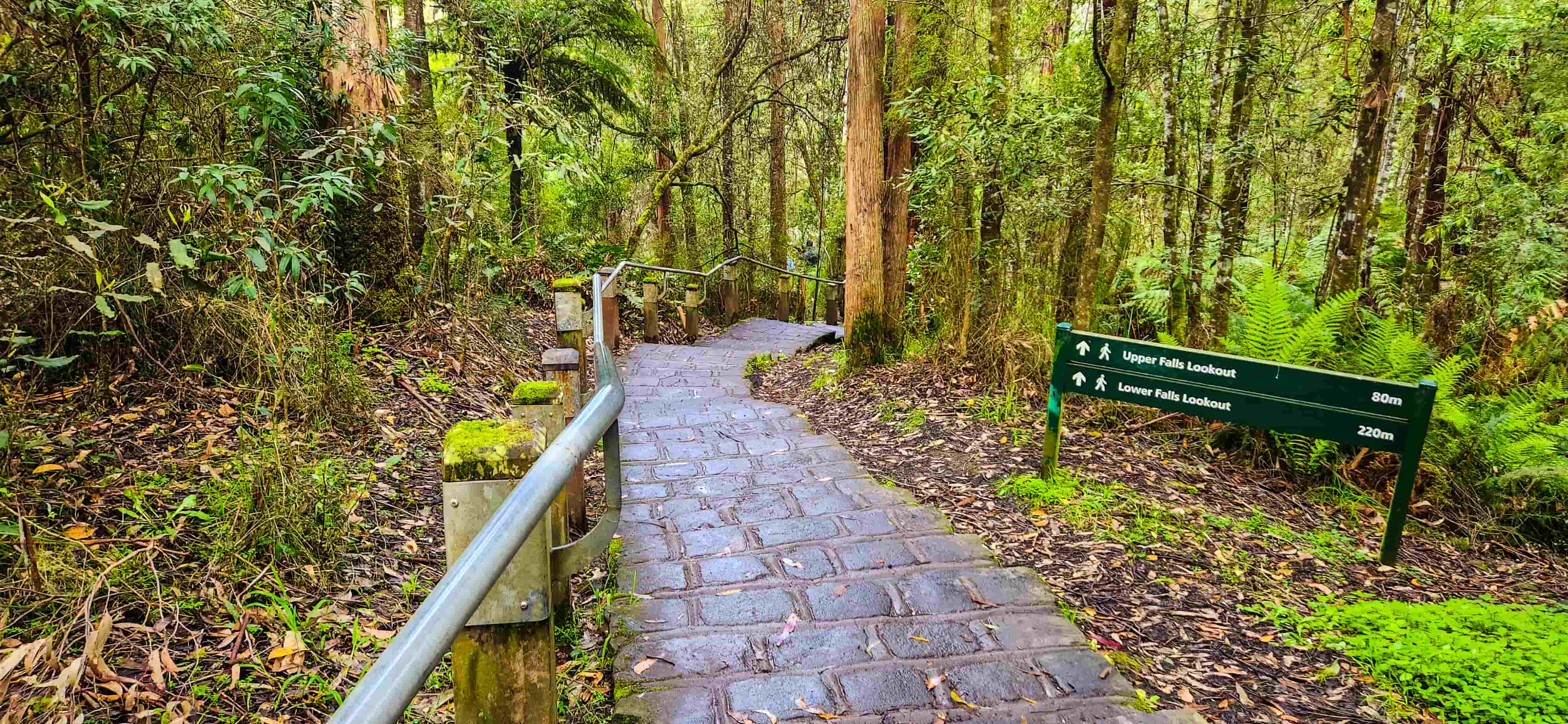 Erskine Falls Trail