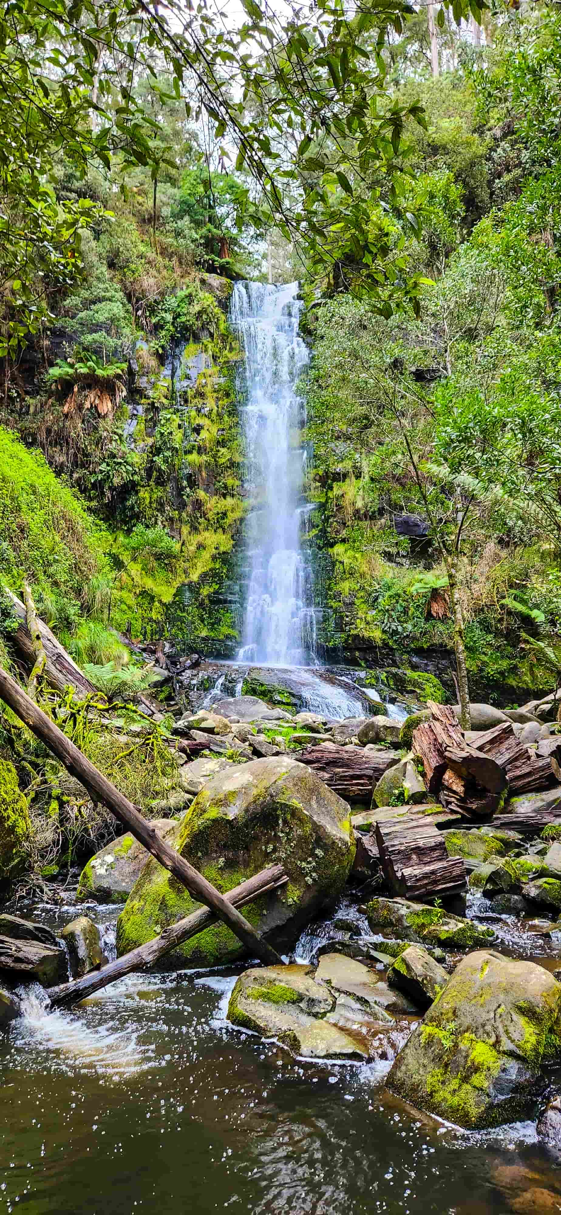Erskine Falls from Lower Falls Lookout