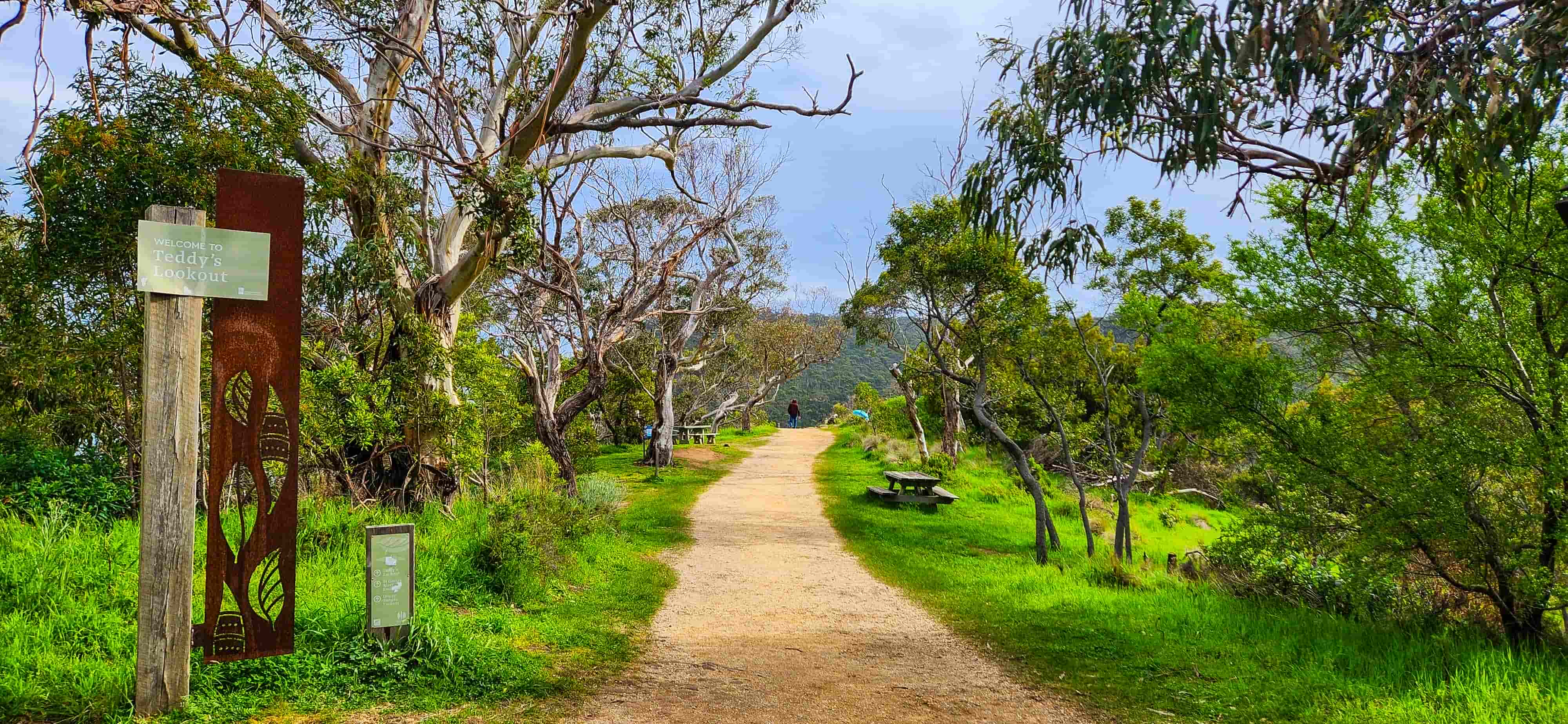 Teddy's Lookout Trail
